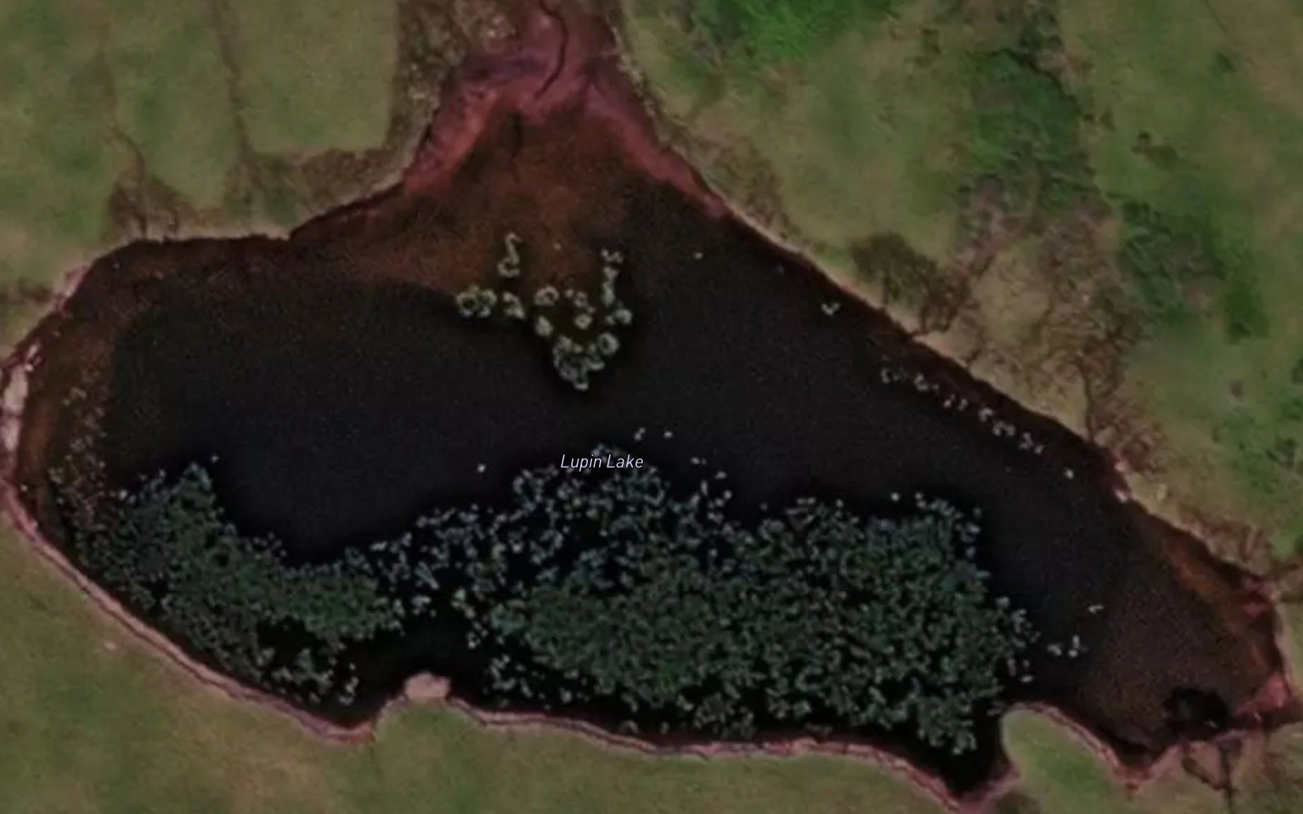 Lupin Lake