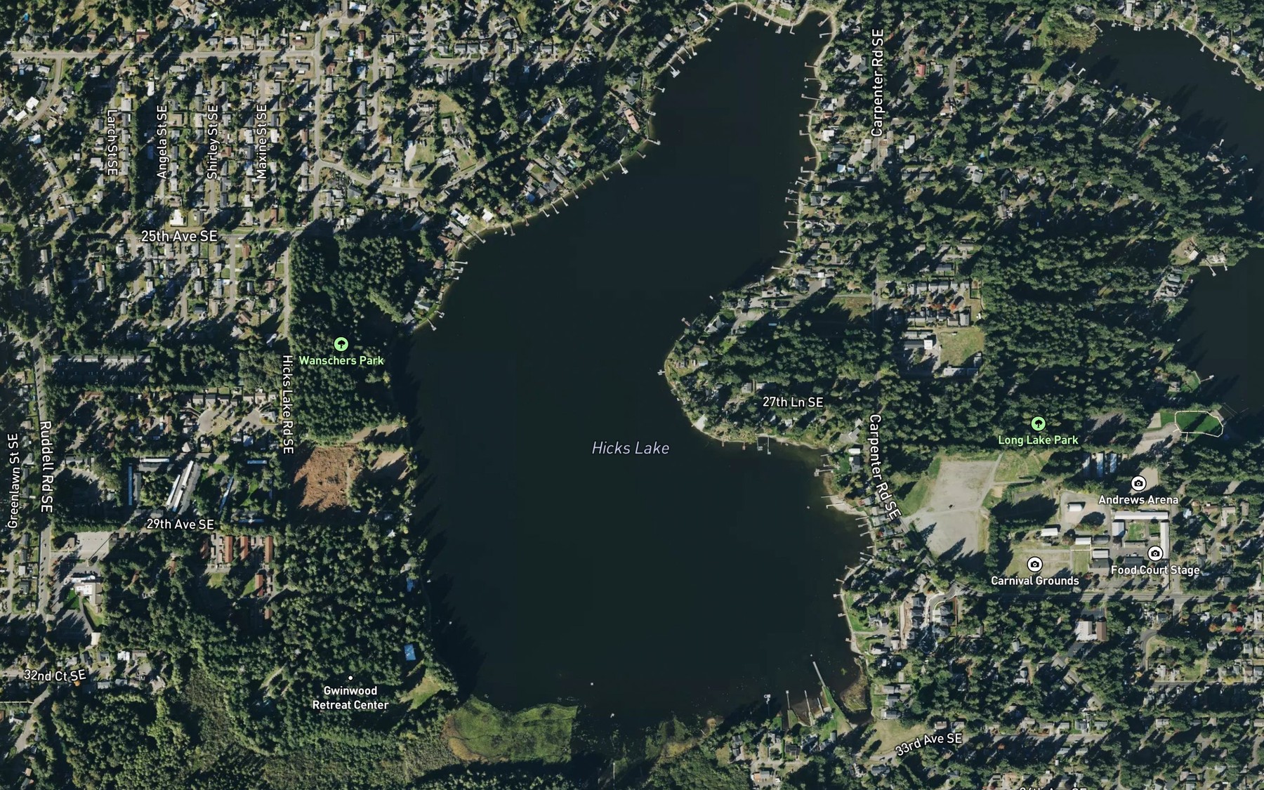 Satellite map of the Hicks Lake