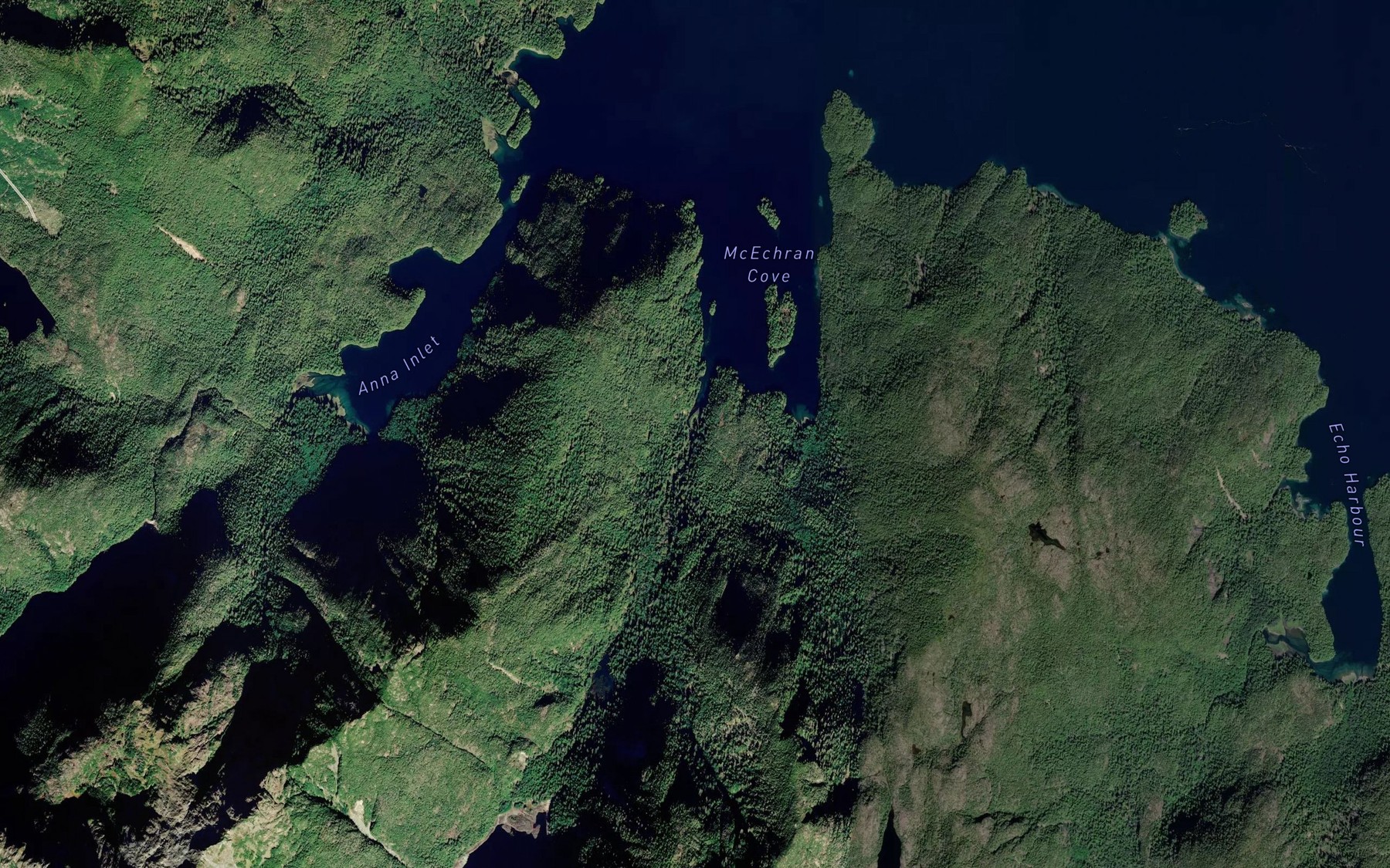 Satellite map of the Salmon River