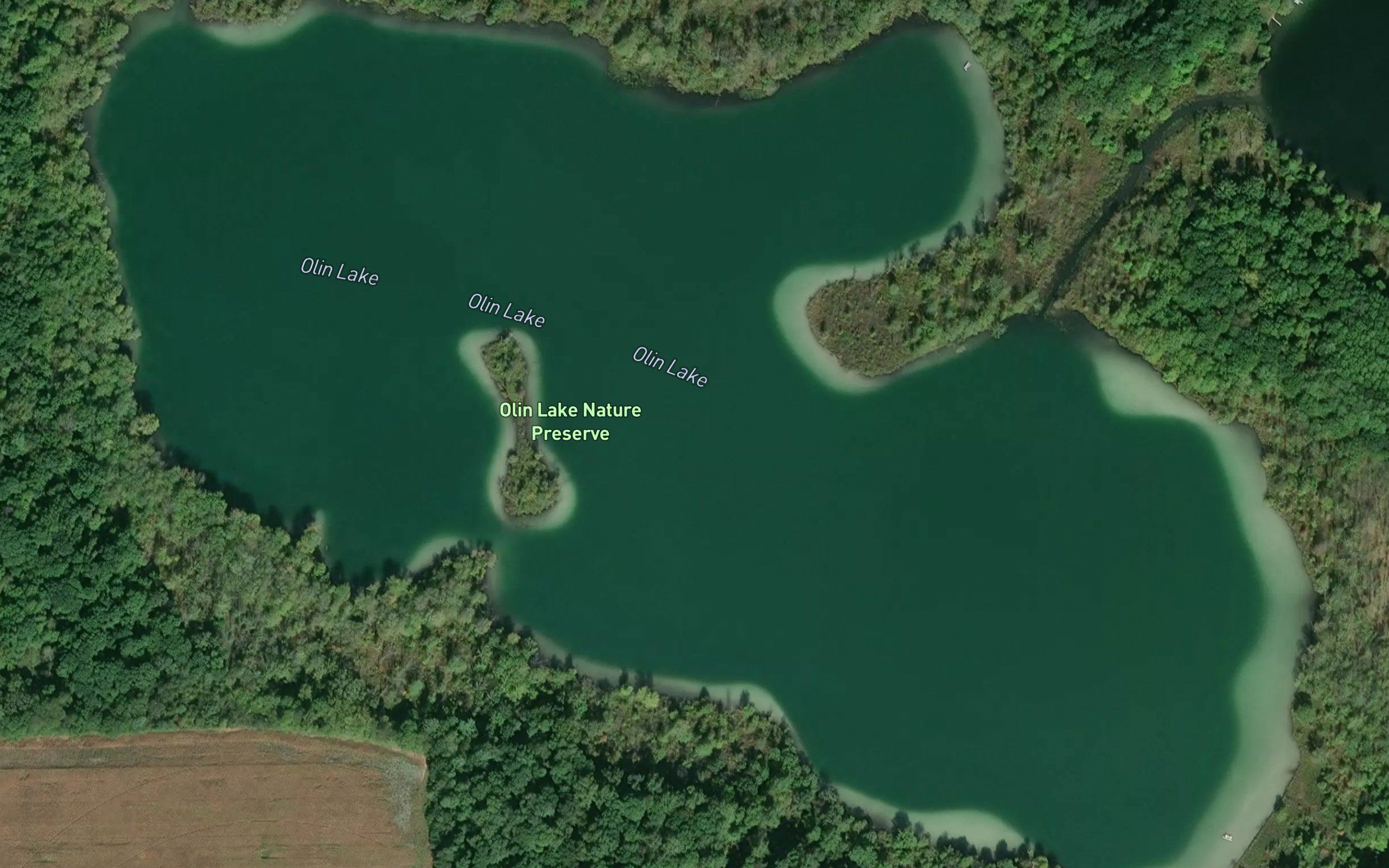 Olin Lake