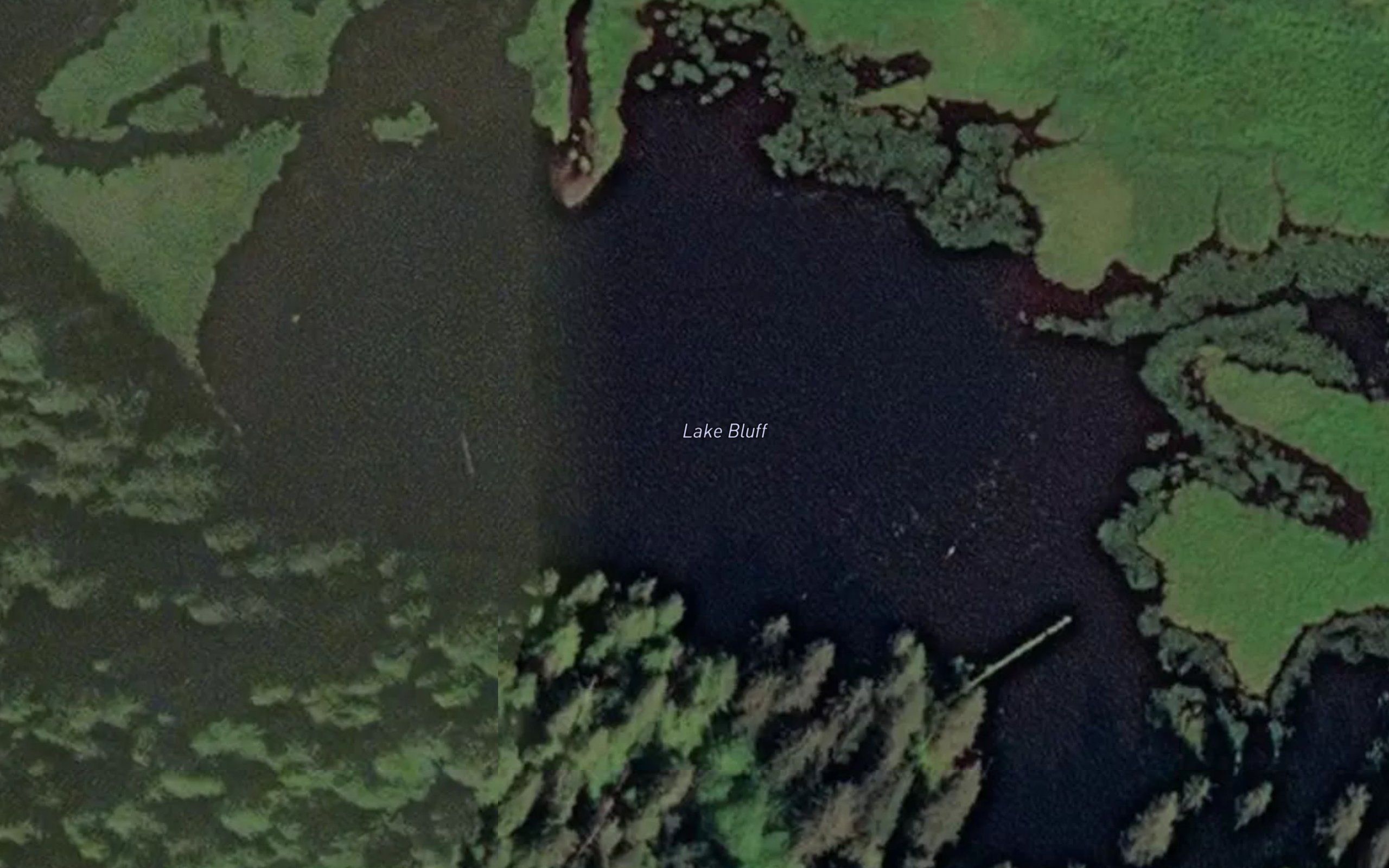 Lake Bluff