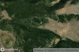 Dryland Spring