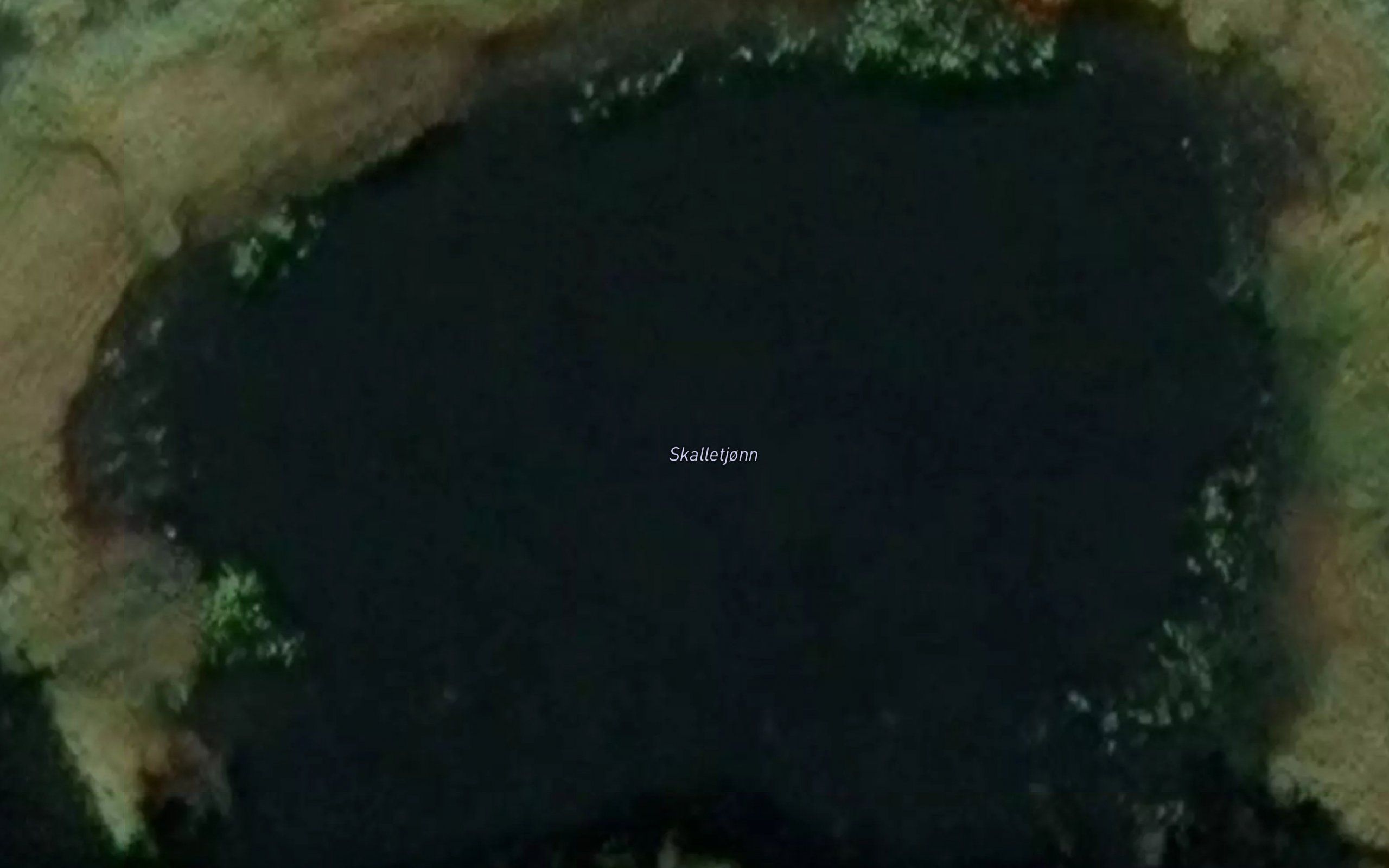 Skalletjonn