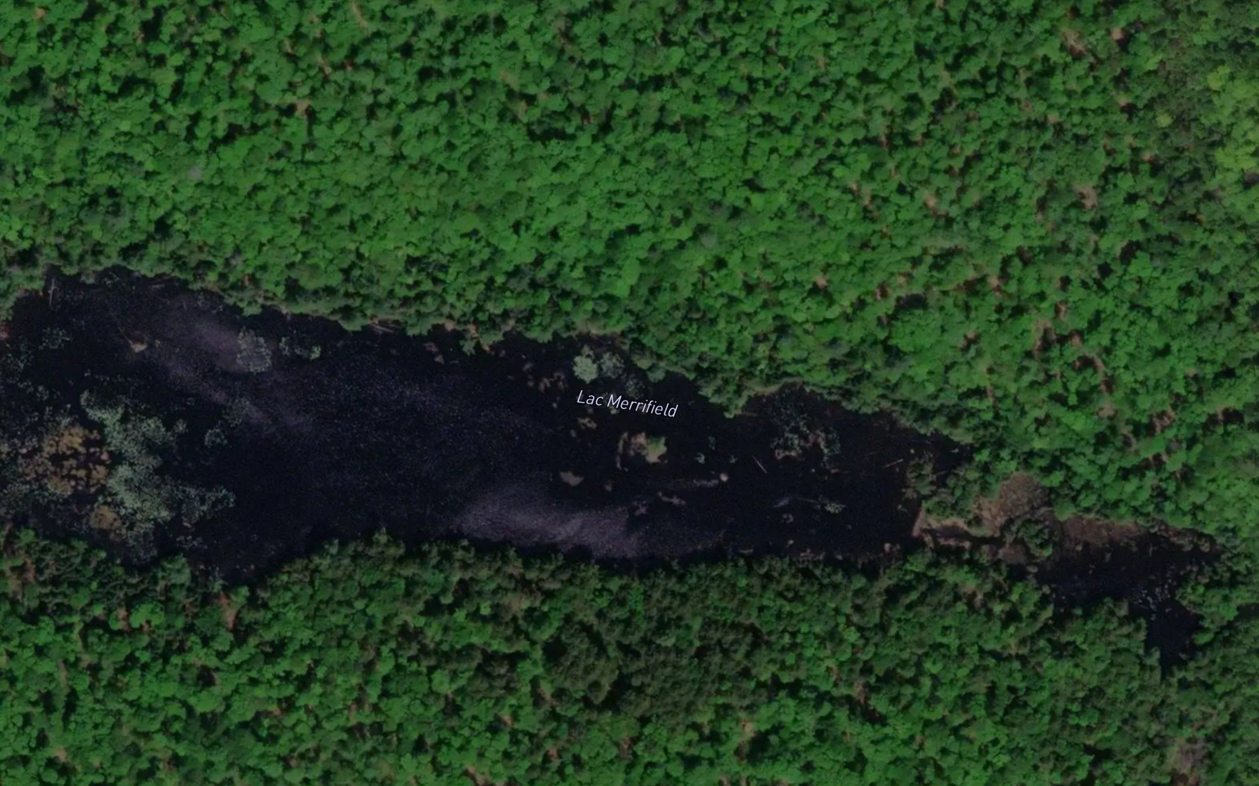 Lac Merrifield