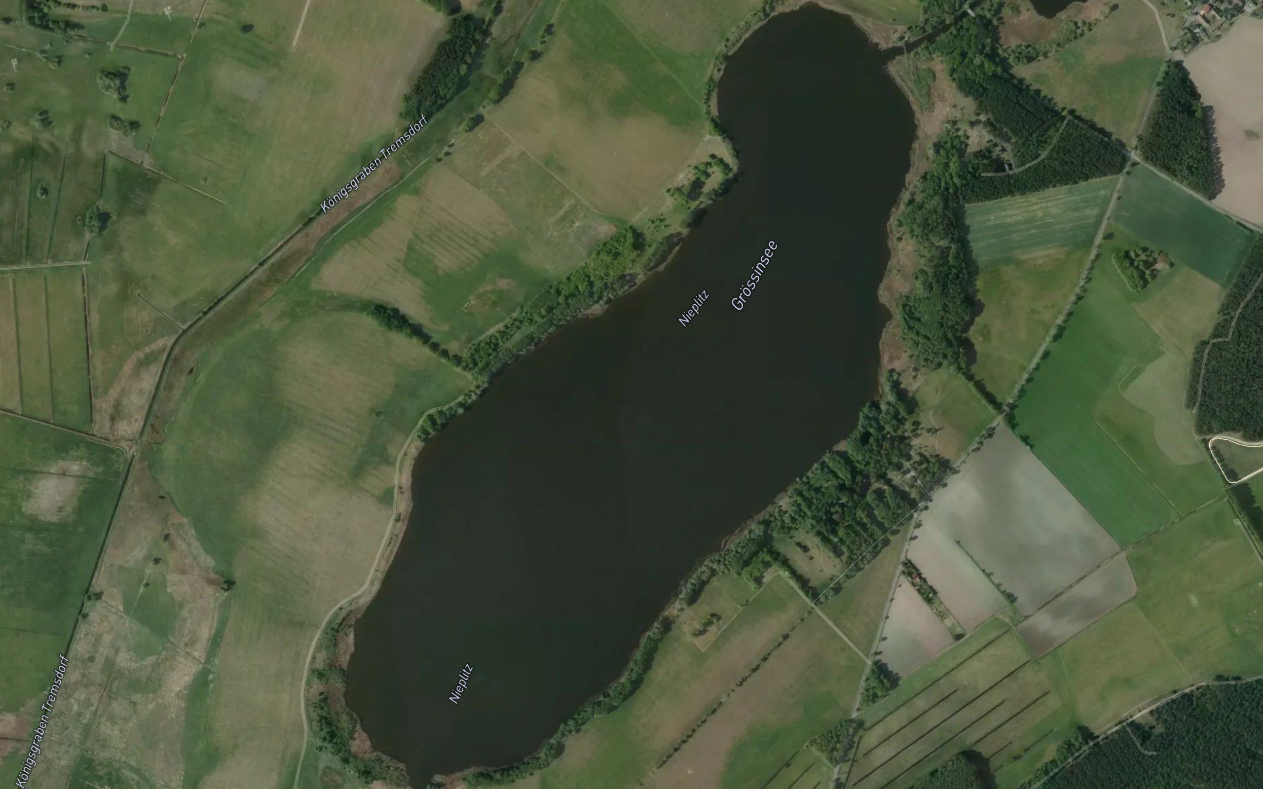 Grossinsee