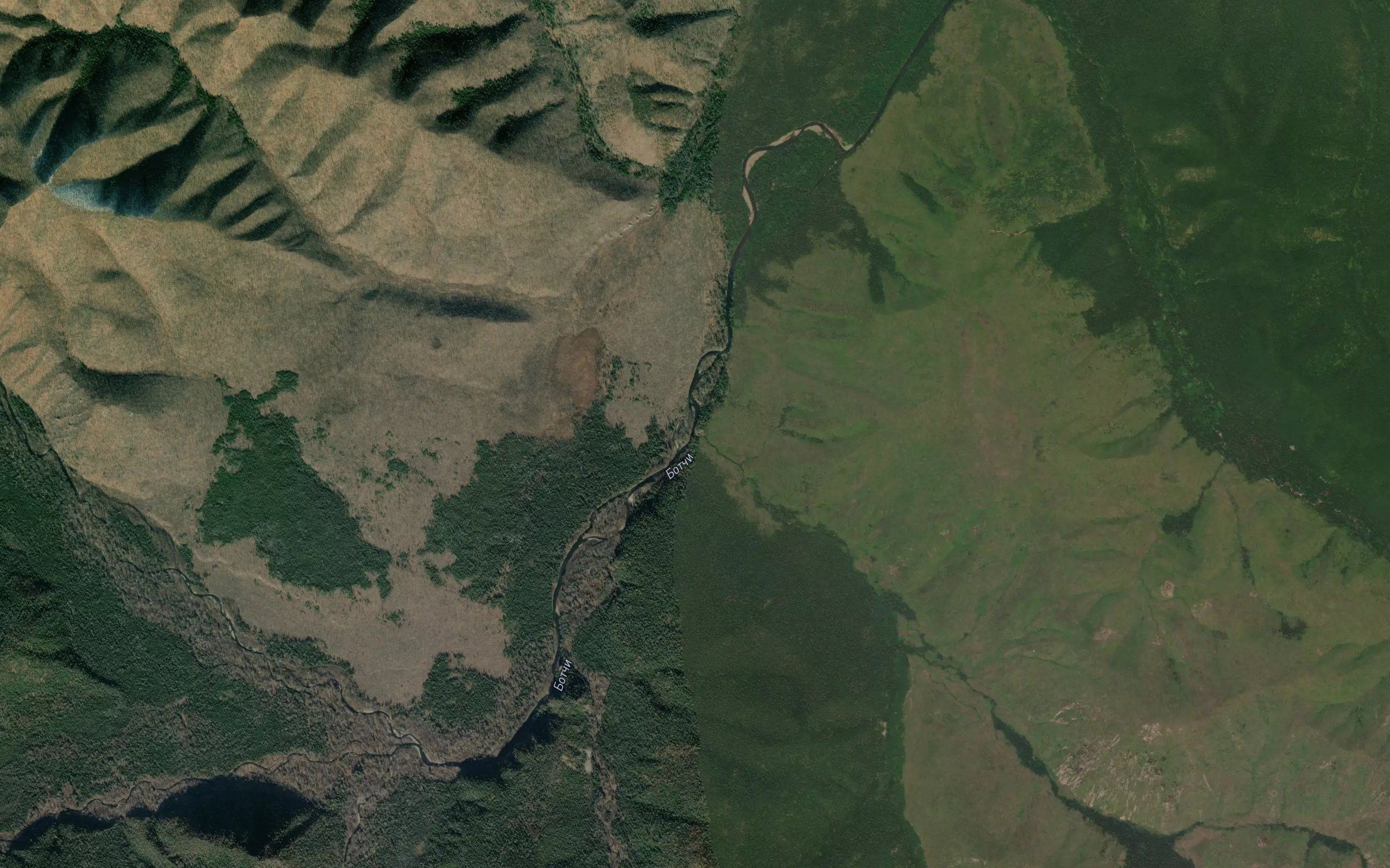 Tayezhnyy