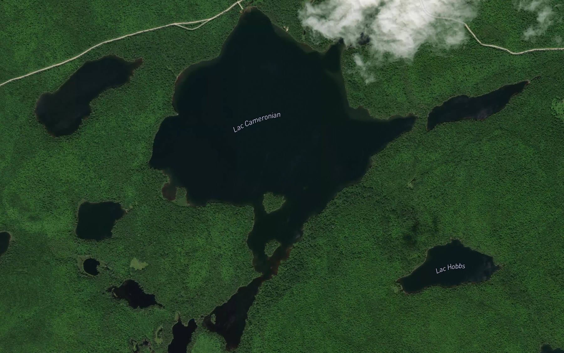 Satellite map of the Lac Cameronian