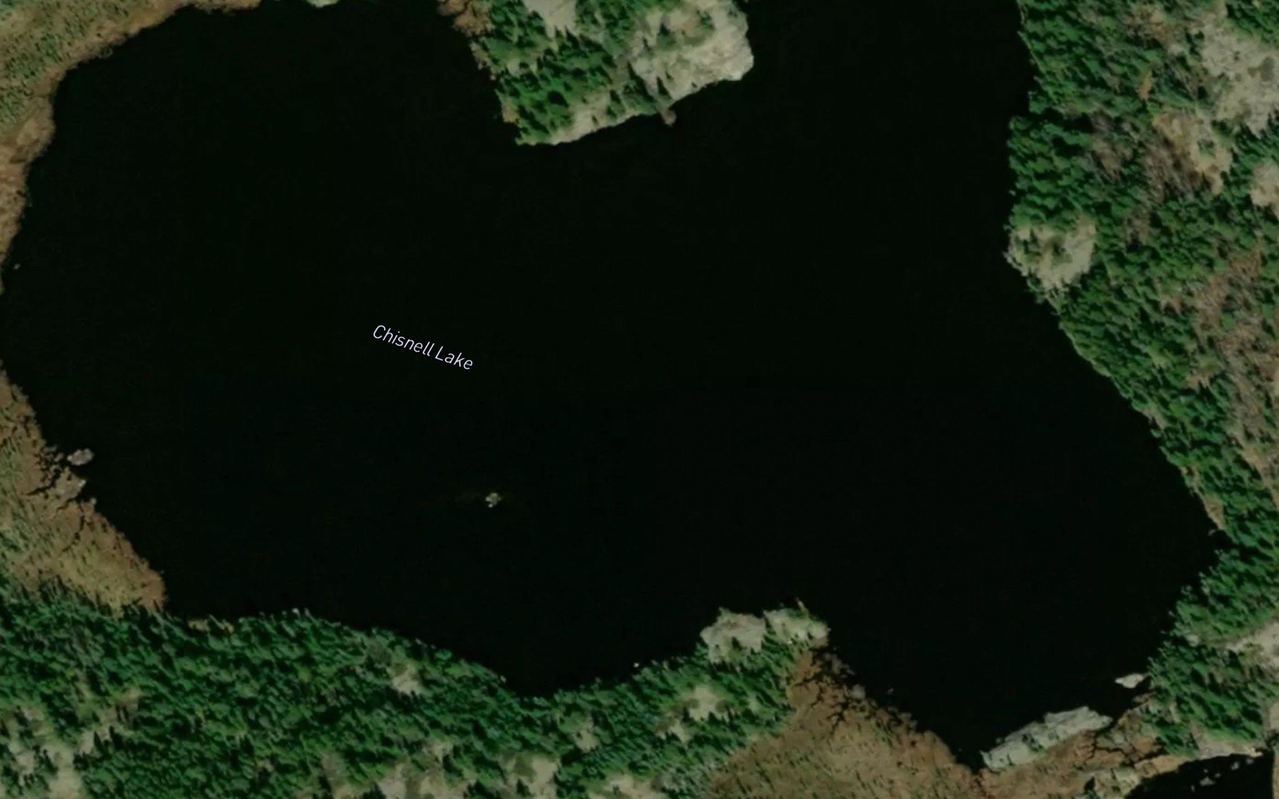 Satellite map of the Chisnell Lake