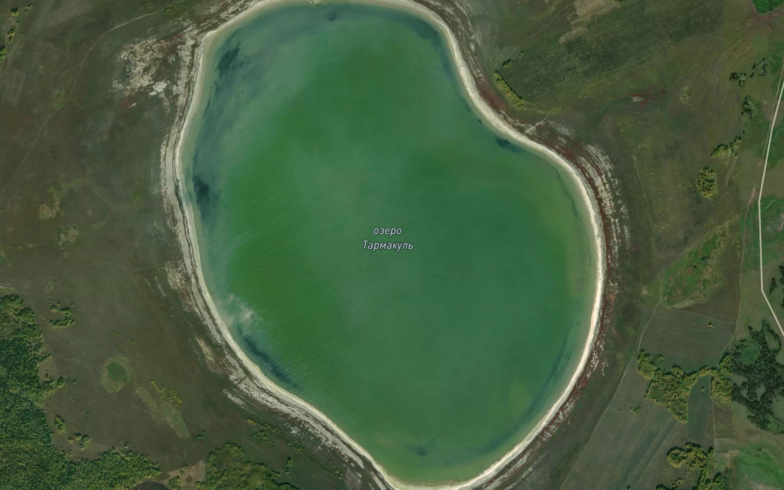 Ozero Tarmakul'