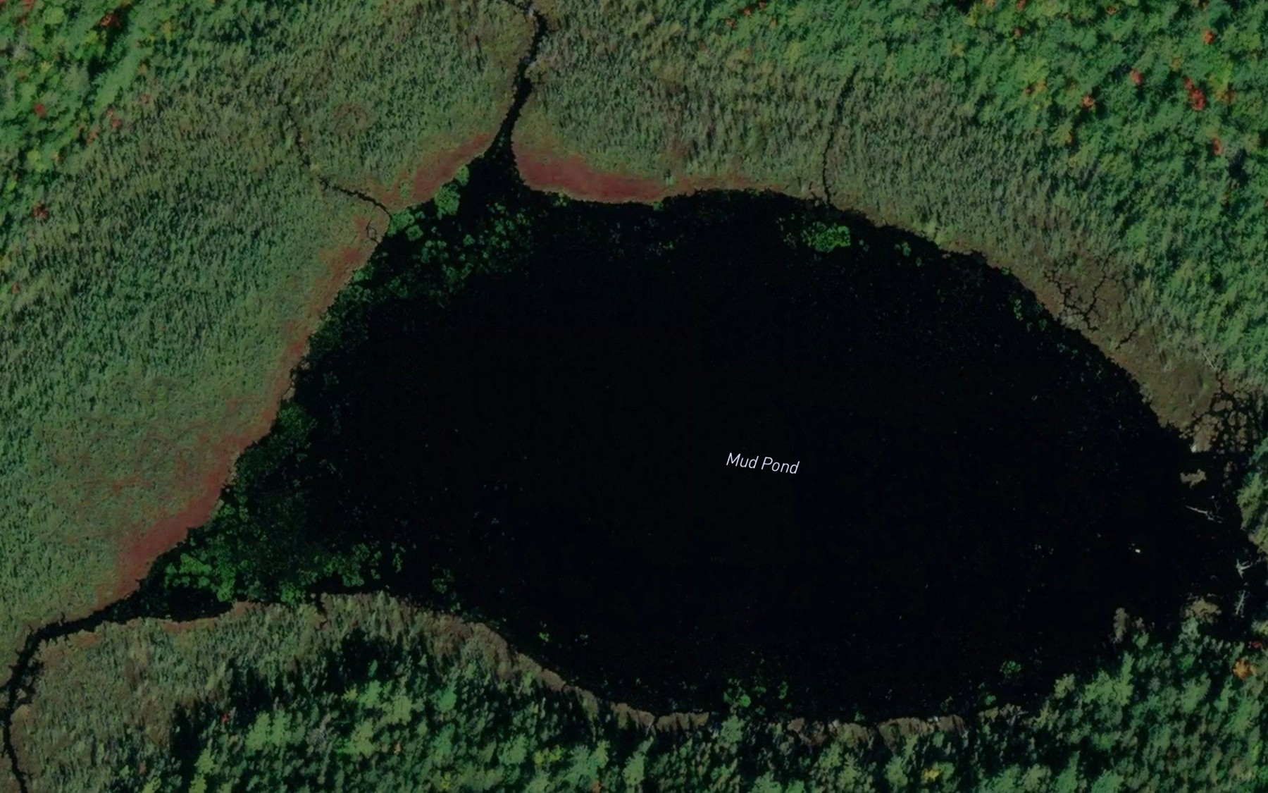 Satellite map of the Mud Pond