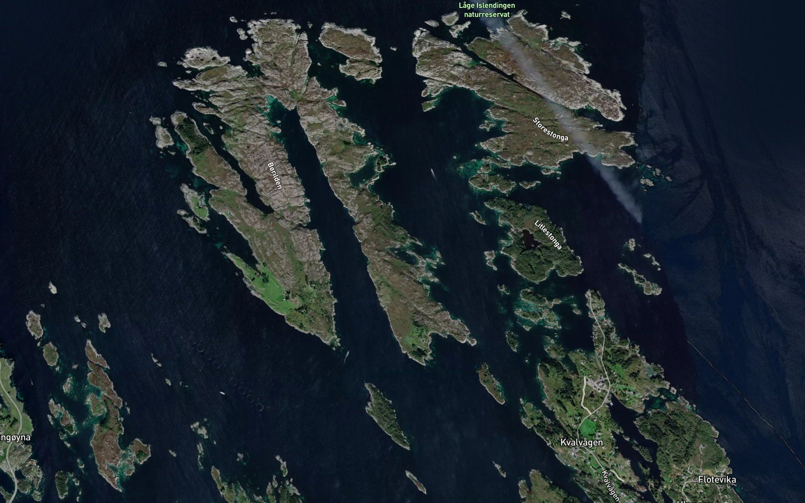 Dynekyllaren