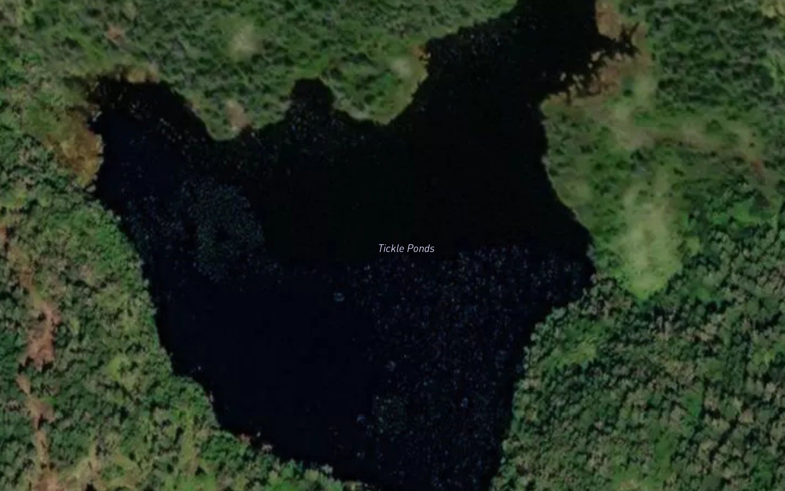 Tickle Ponds