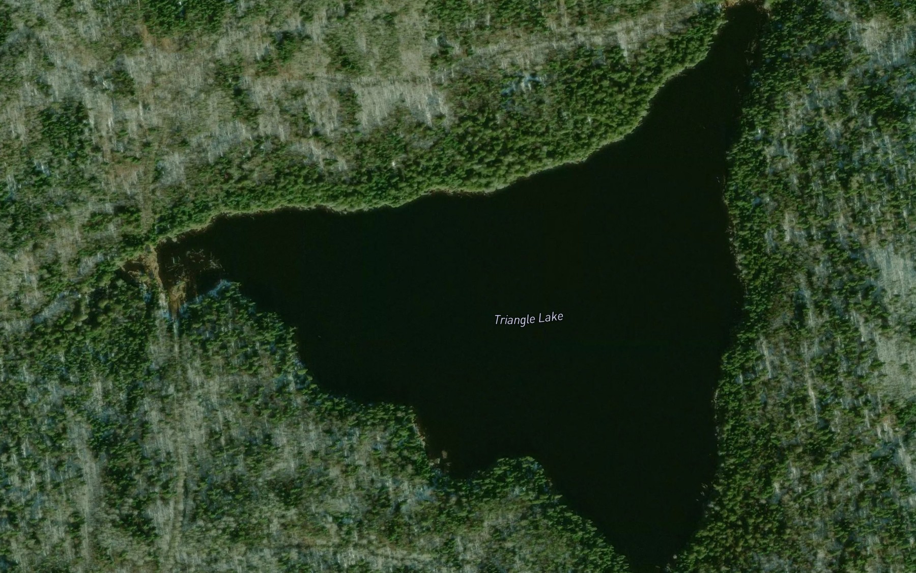 Satellite map of the Triangle Lake