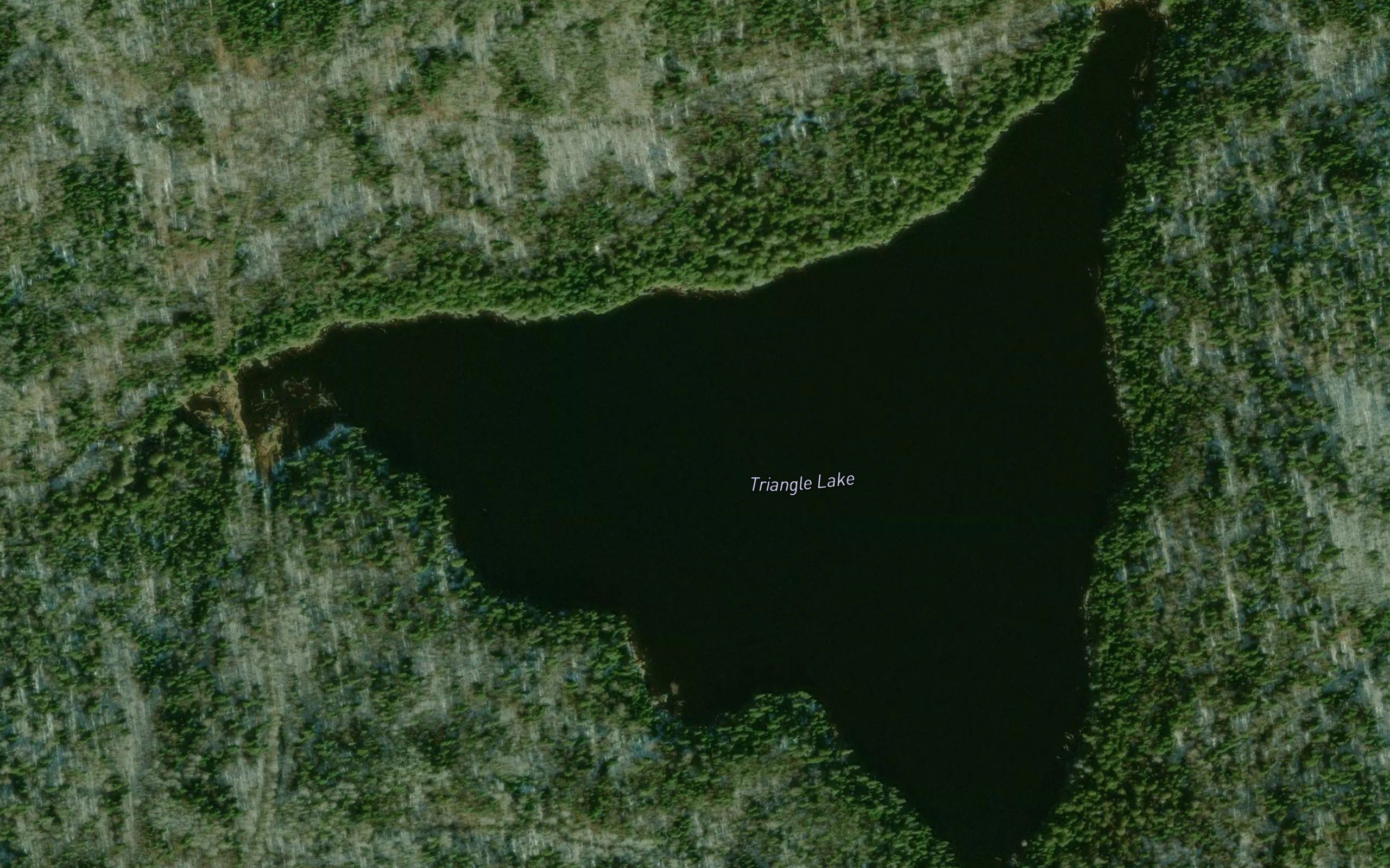 Triangle Lake