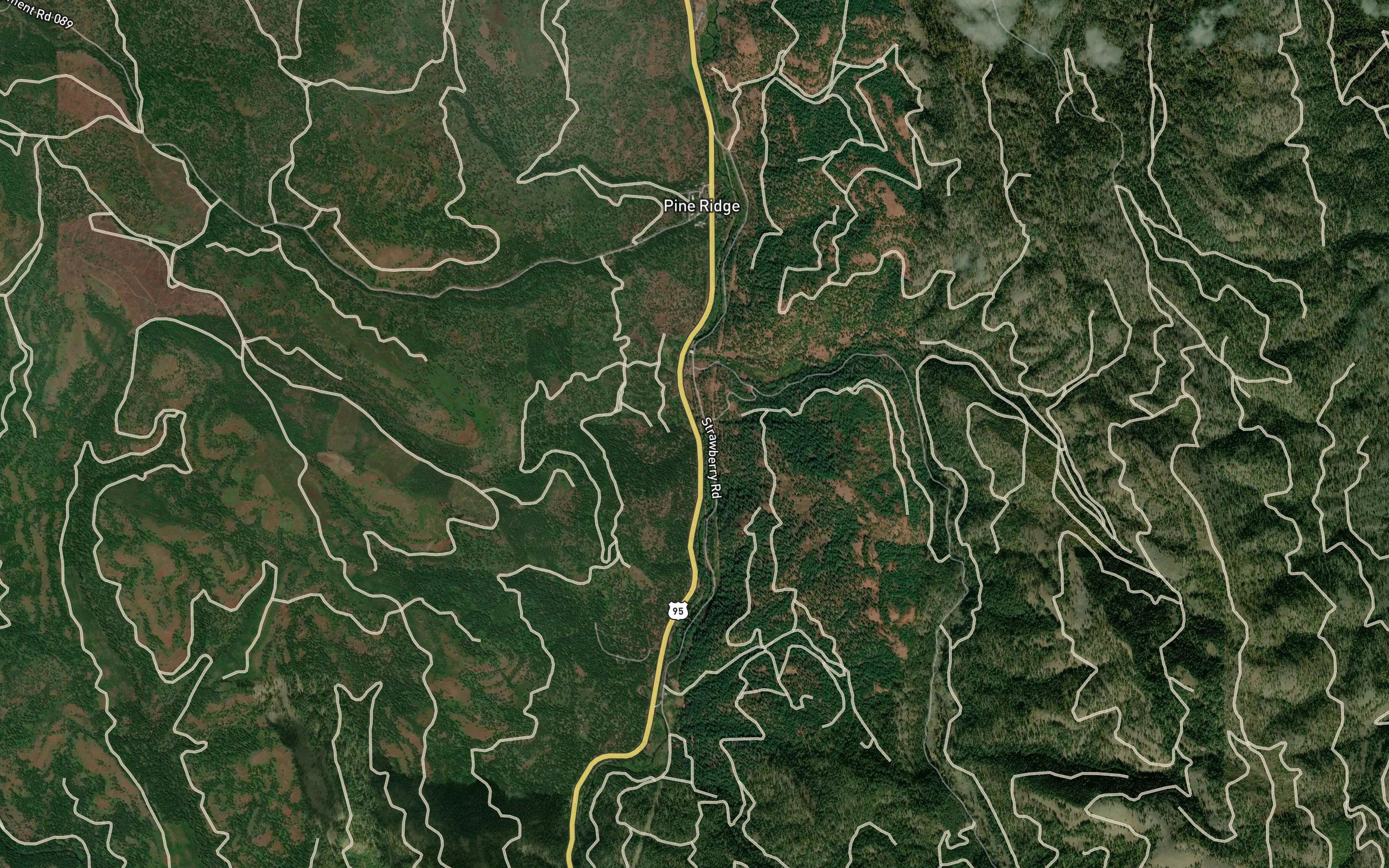 Woodland Creek