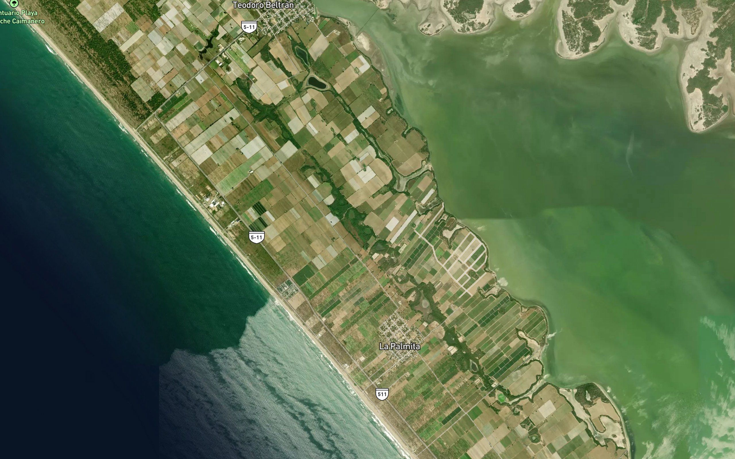Laguna Las Flores