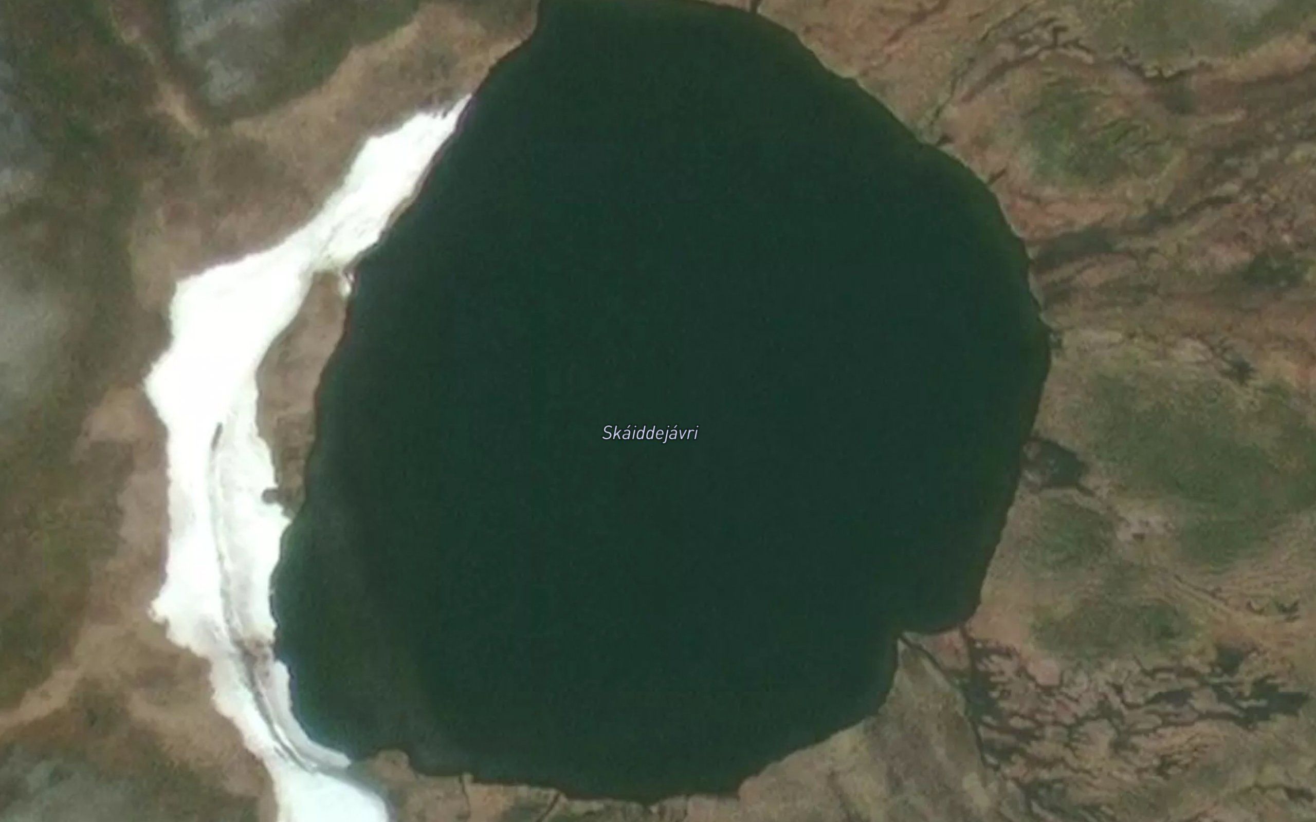 Skaidijavri