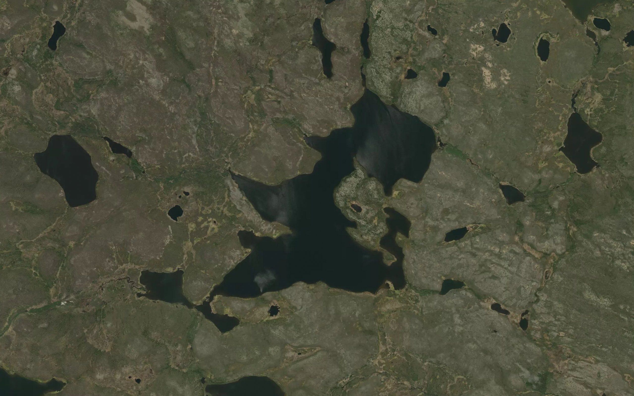 Pincock Lake