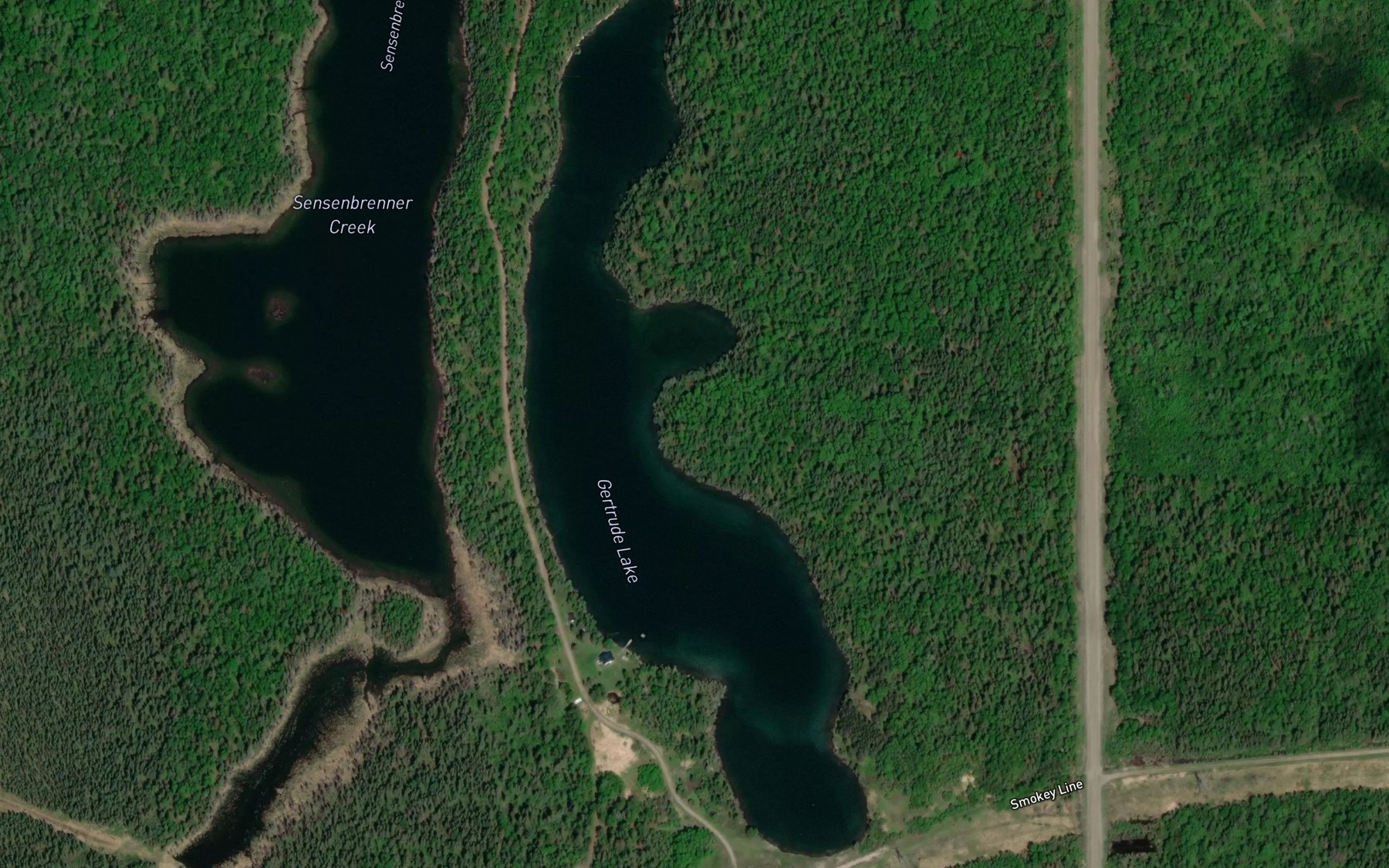 Satellite map of the Gertrude Lake