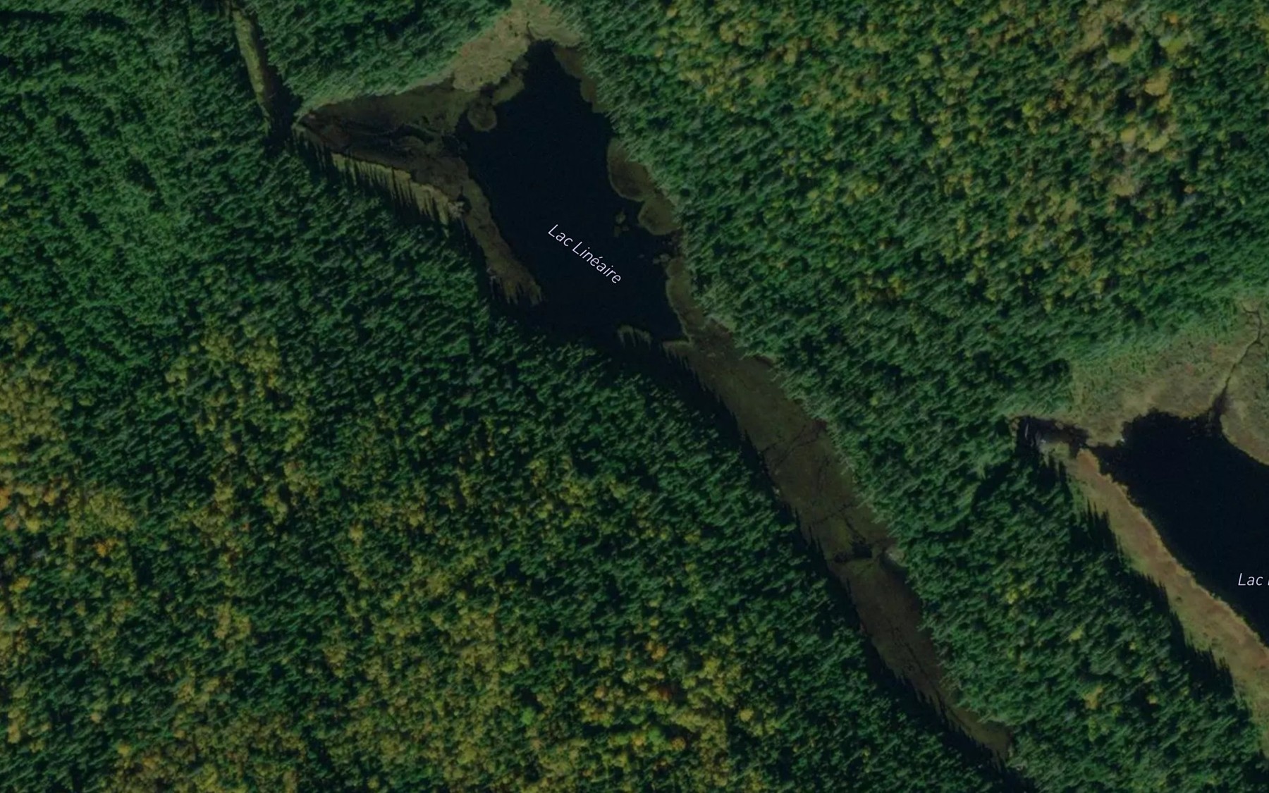 Satellite map of the Lac Lineaire