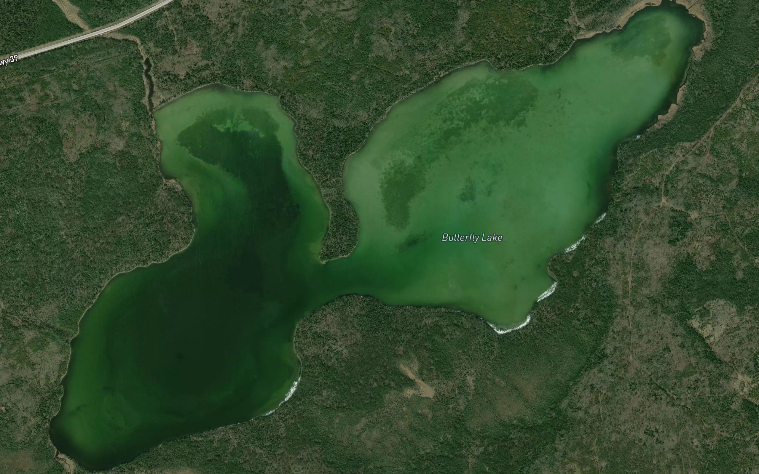 Butterfly Lake