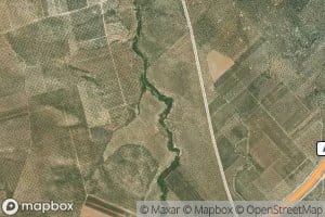 Pantano de Arroyovil