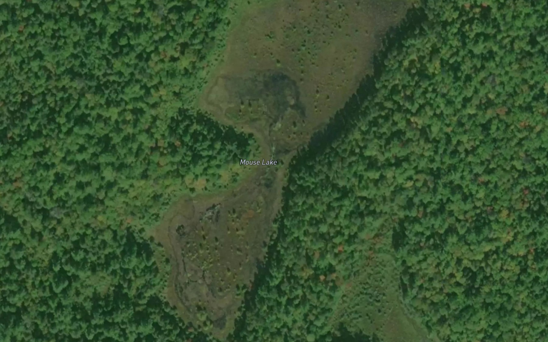 Satellite map of the Mouse Lake