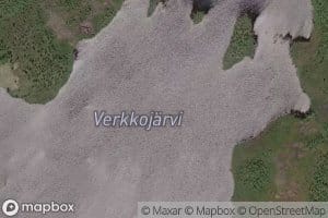 Verkkojarvi