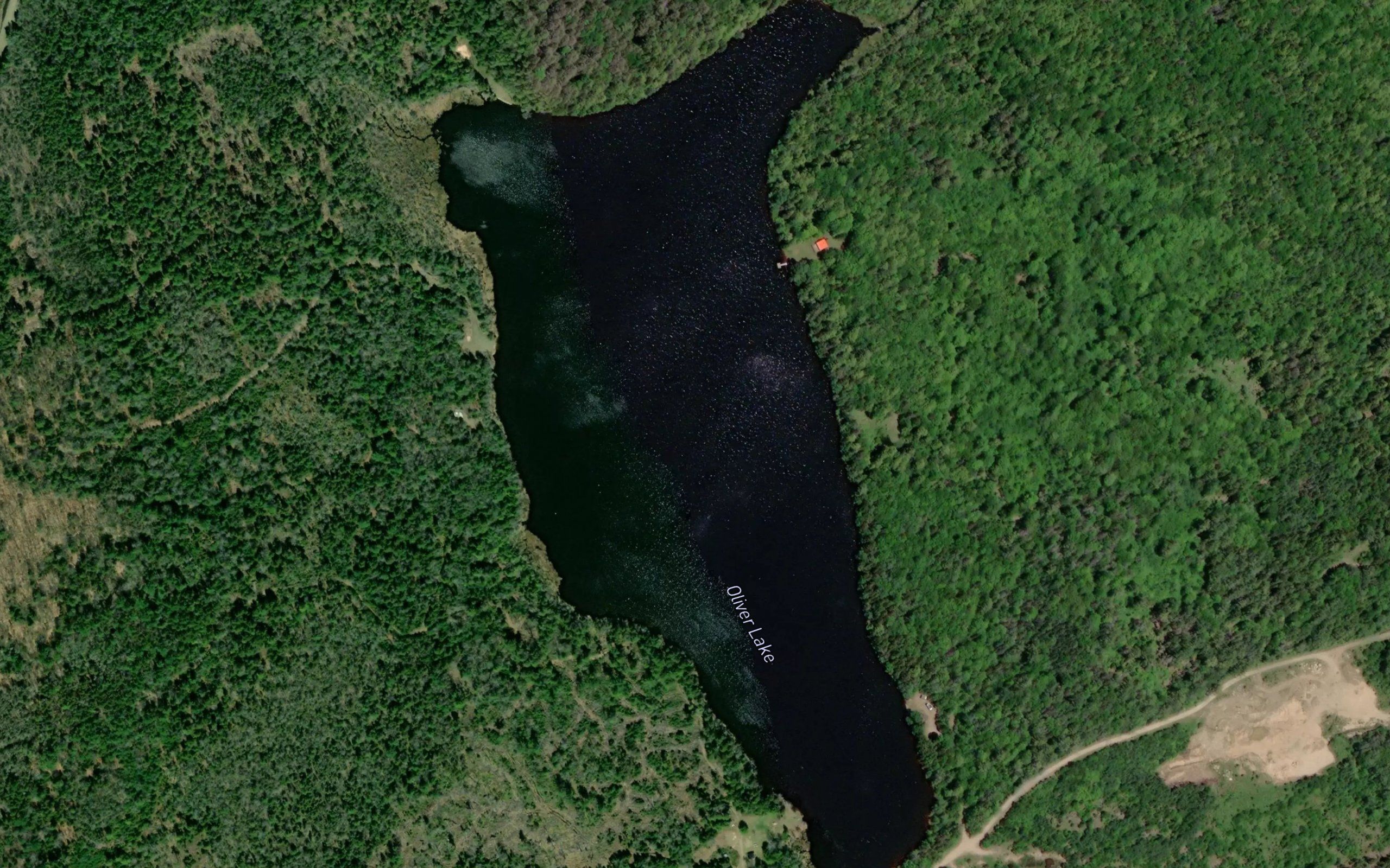 Oliver Lake
