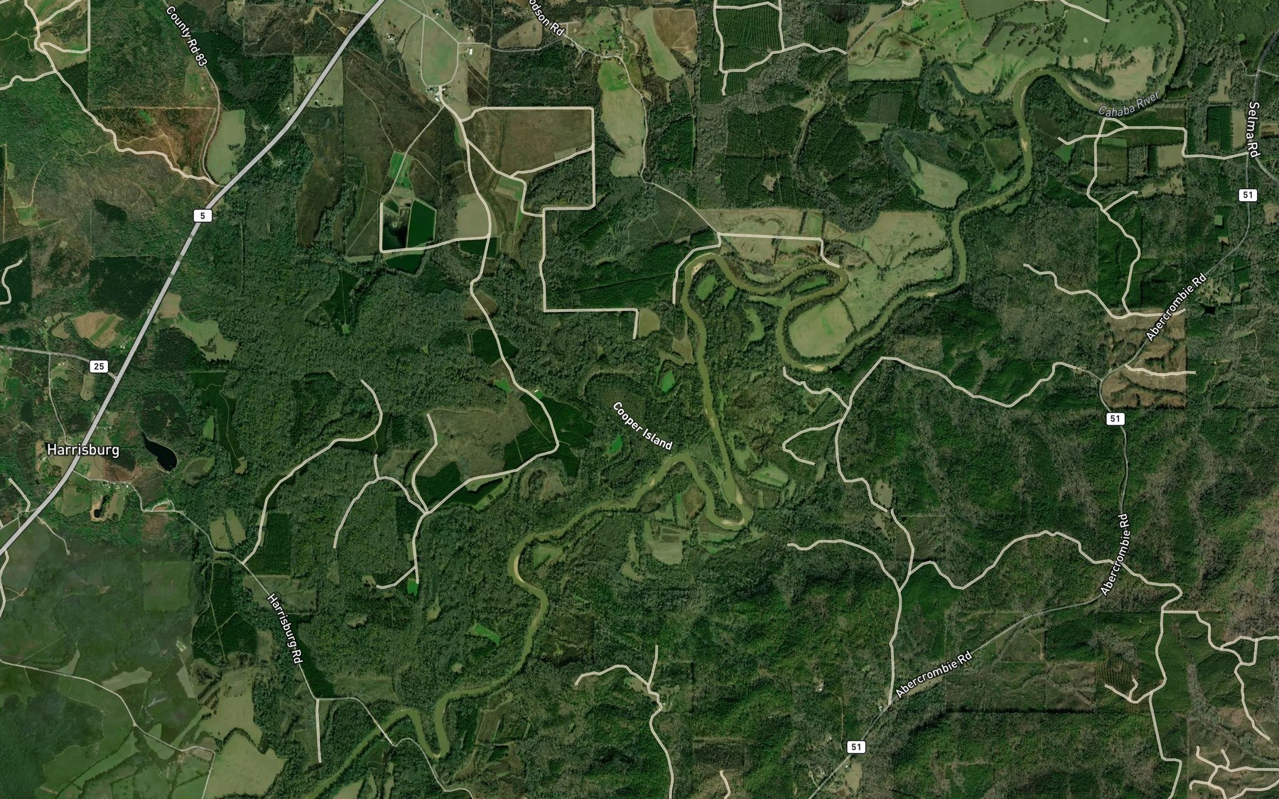 Satellite map of the Congo Creek
