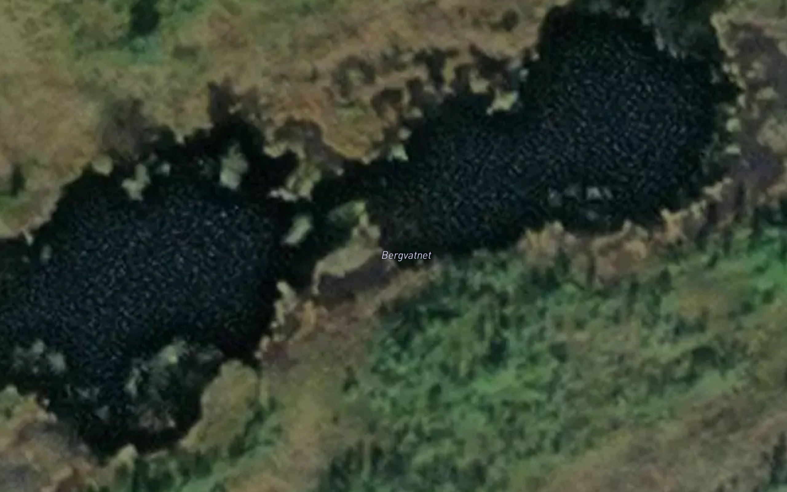 Bergvatnan