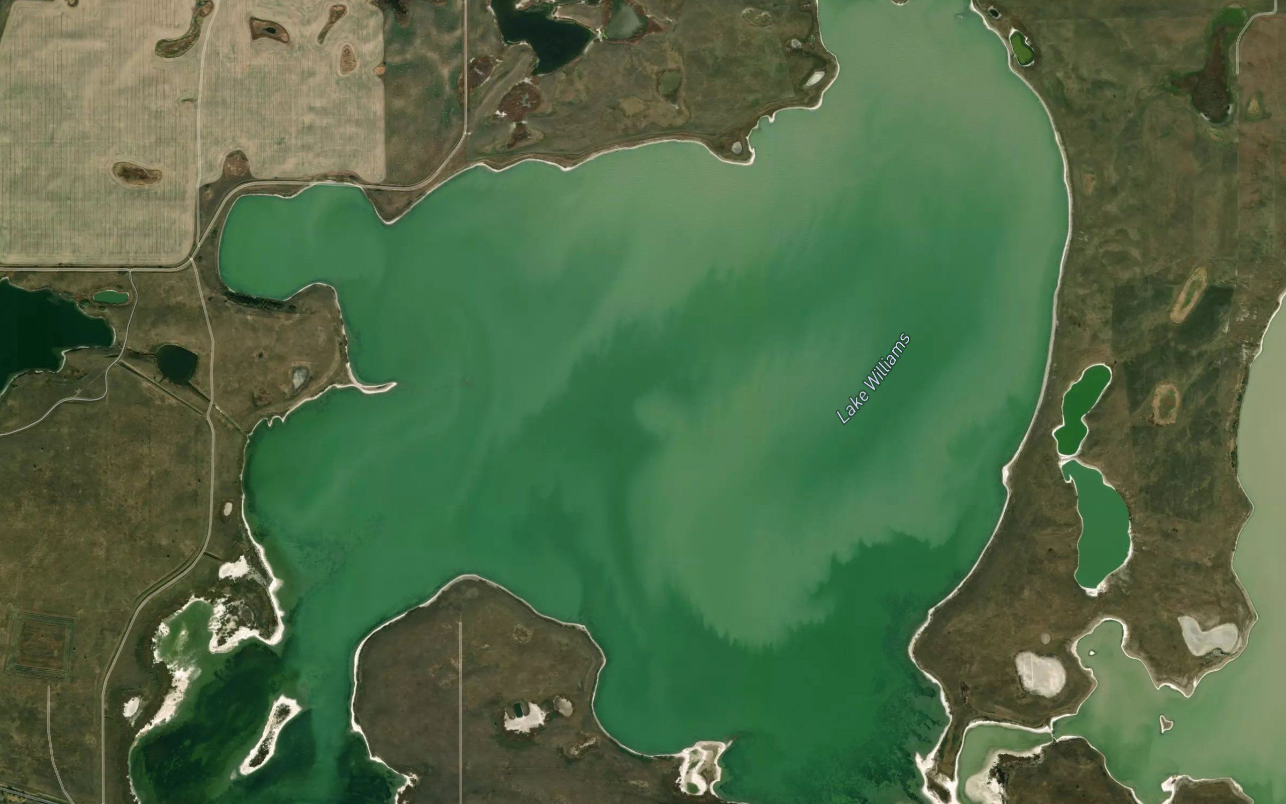 Lake Williams