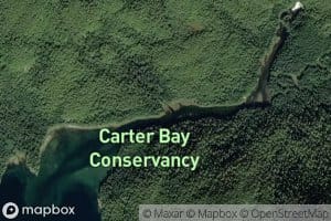 Carter River
