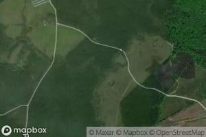 Persimmon Glade Branch