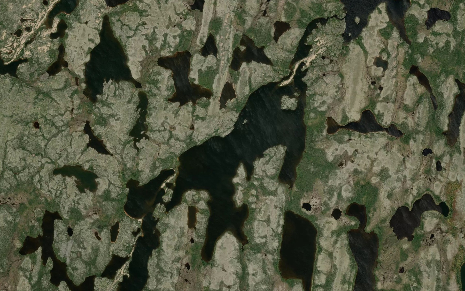 Satellite map of the Huppert Lake