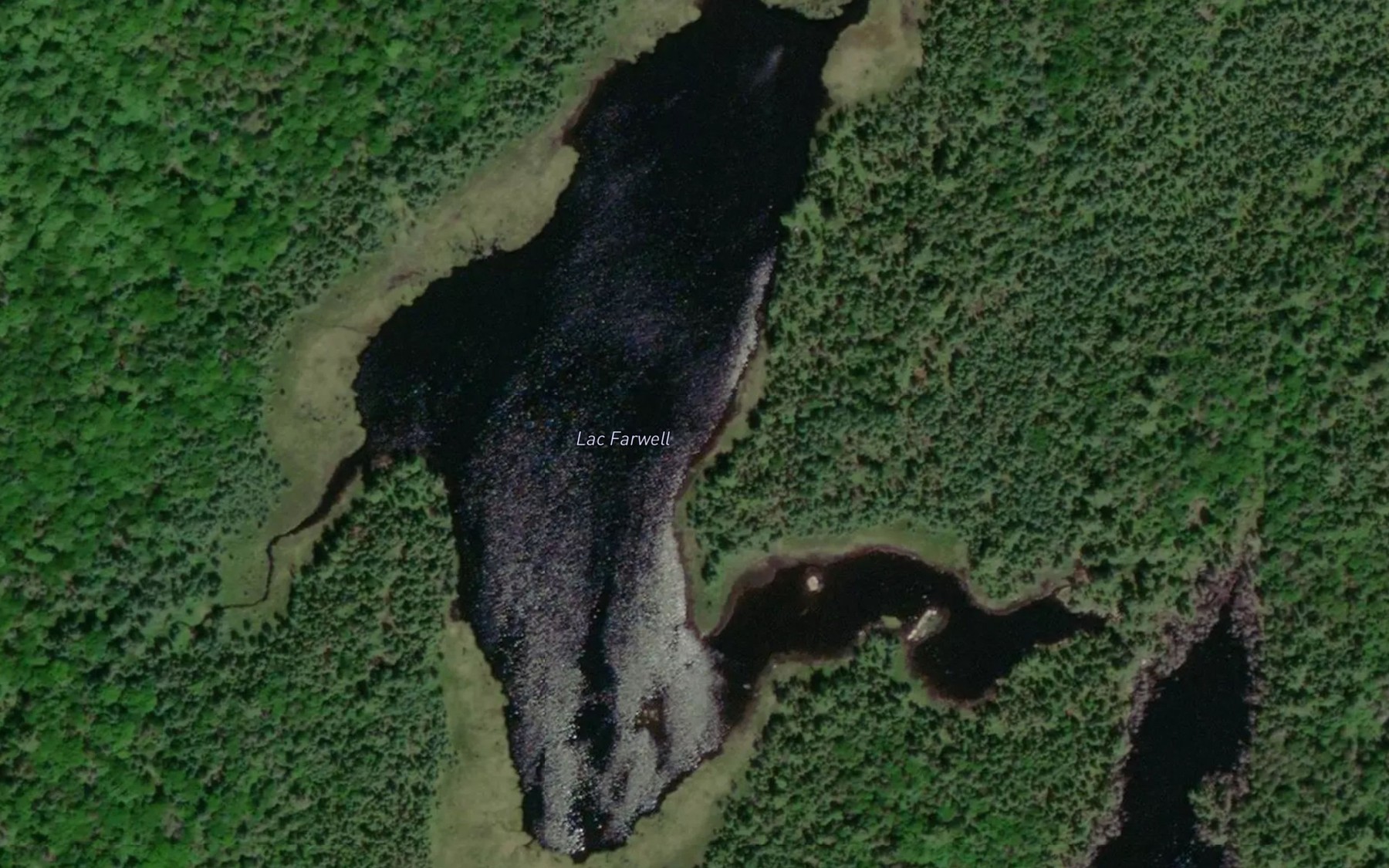 Satellite map of the Lac Farwell