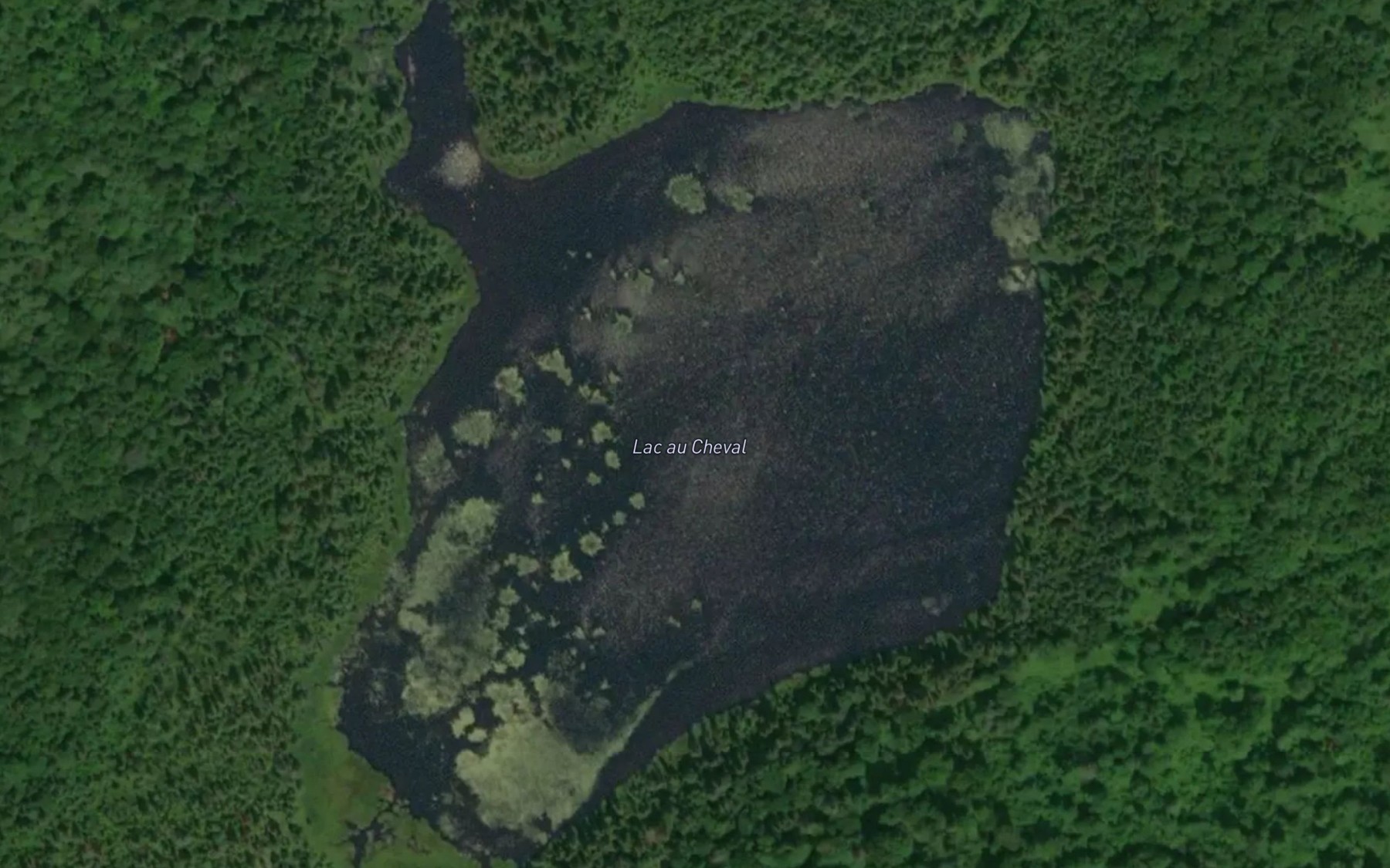 Satellite map of the Lac au Cheval