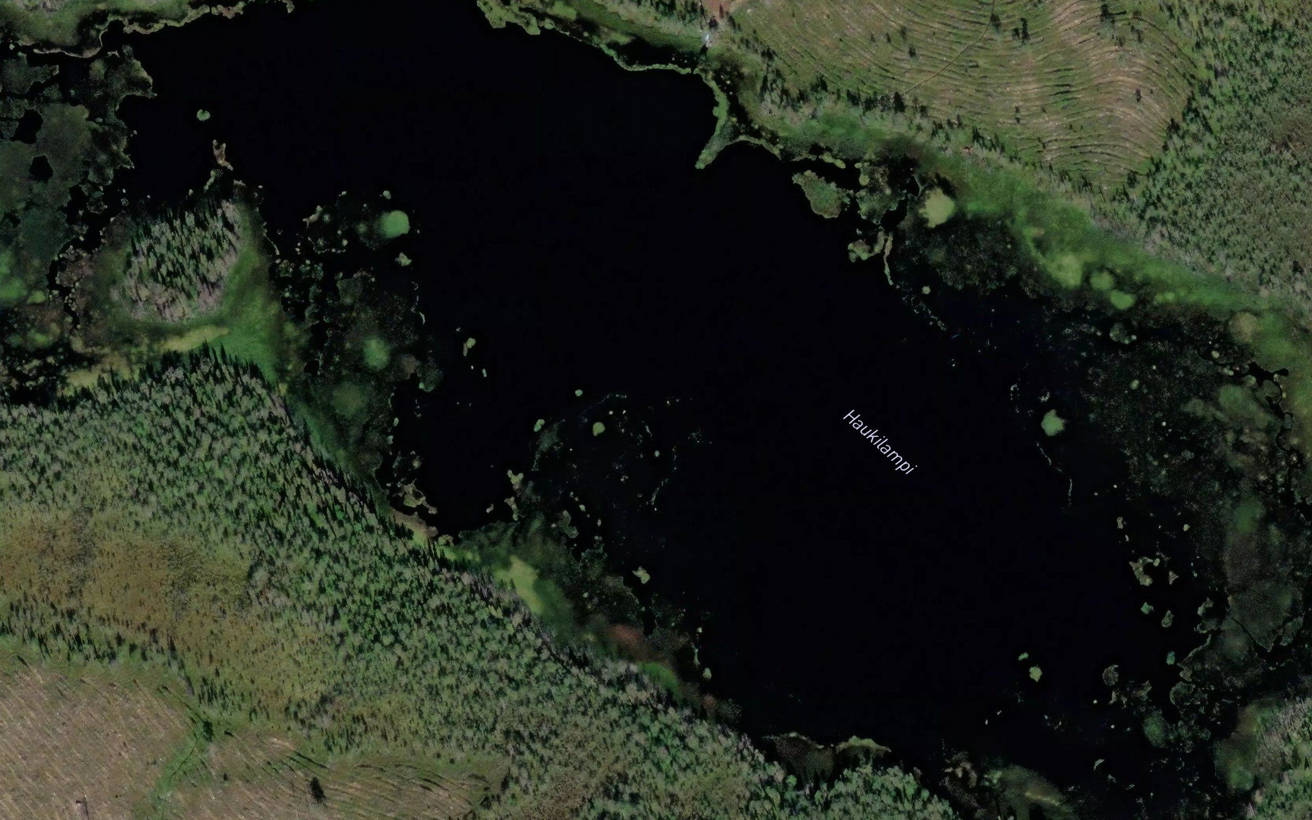 Haukilampi