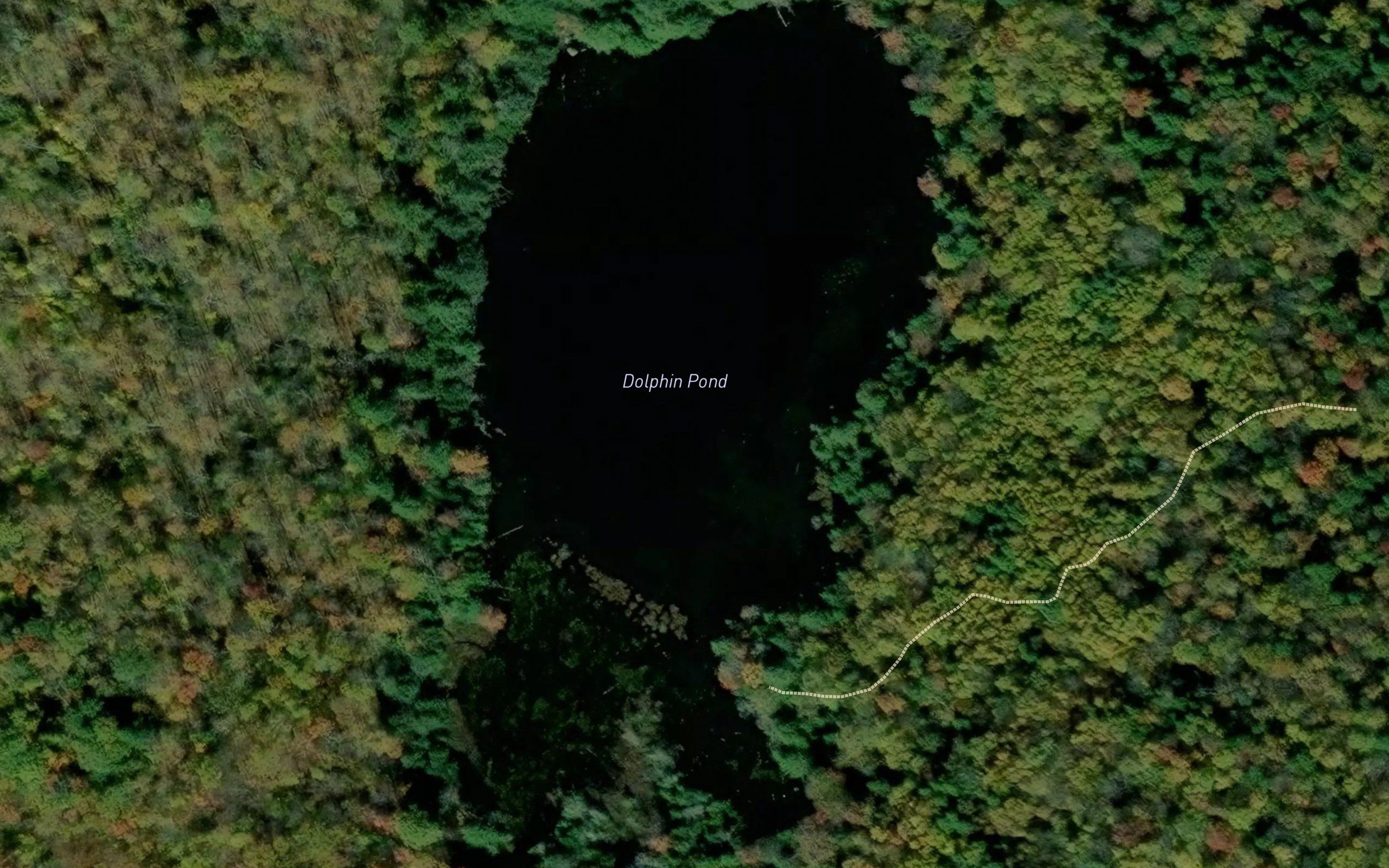 Dolphin Pond