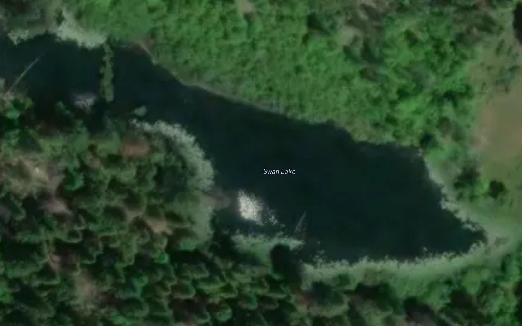 Satellite map of the Swan Lake