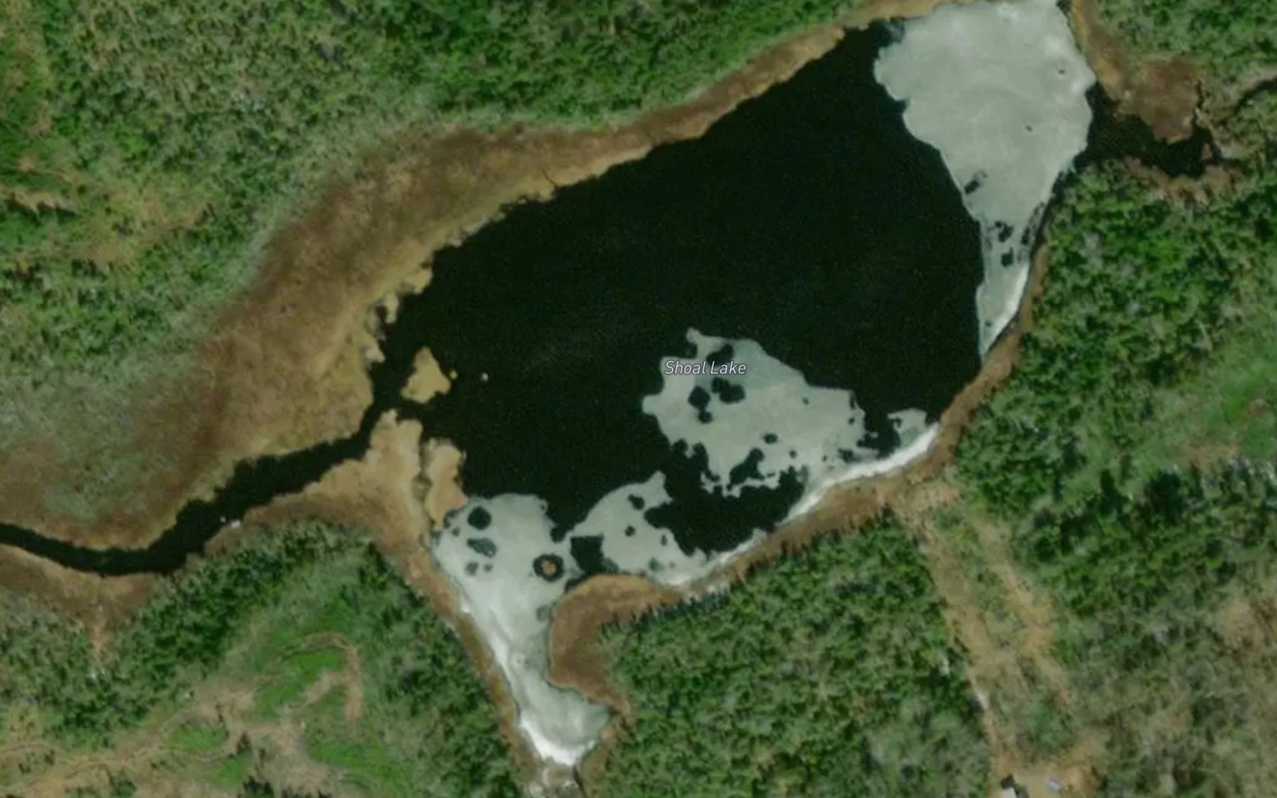 Satellite map of the Shoal Lake