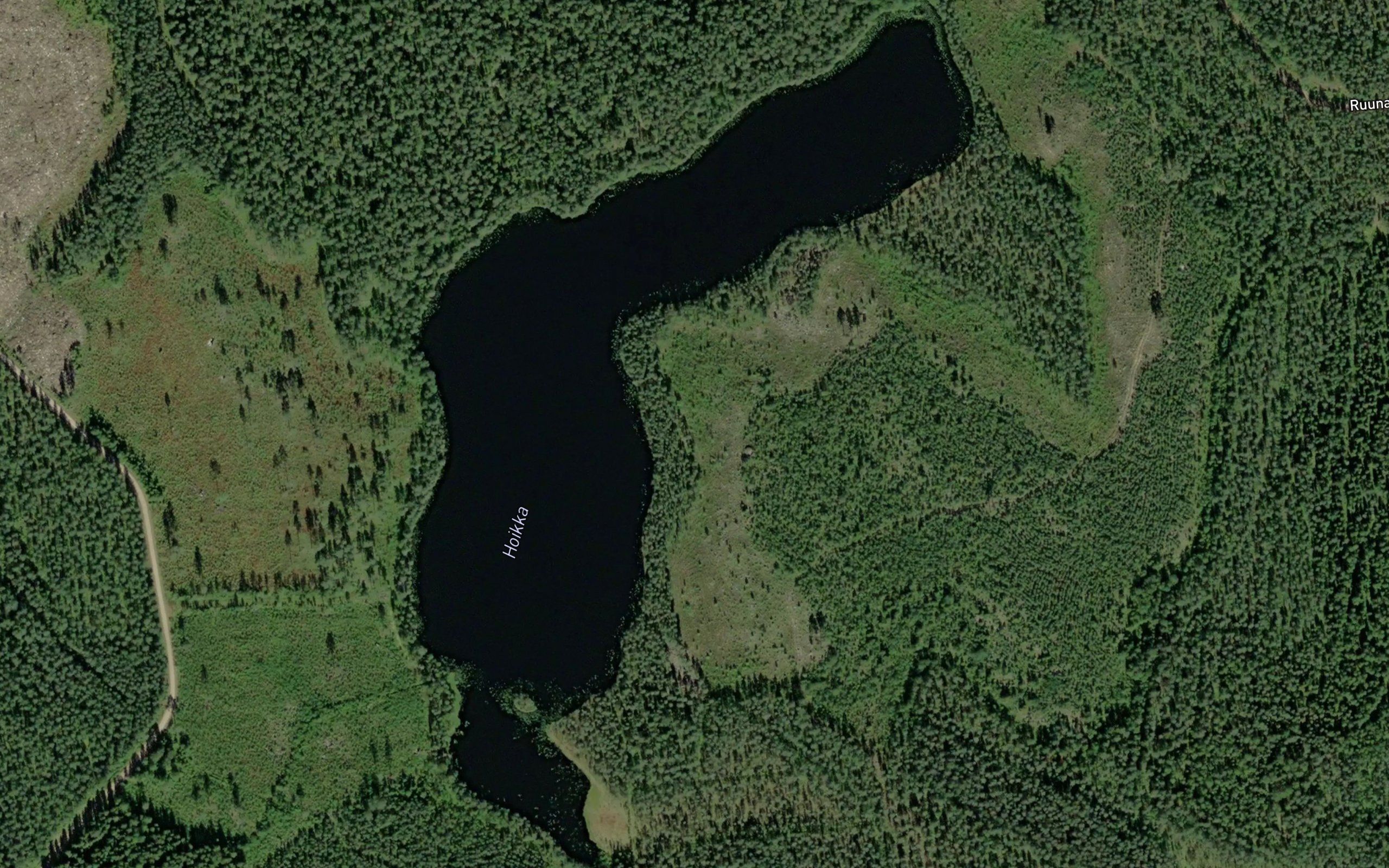 Hoikka