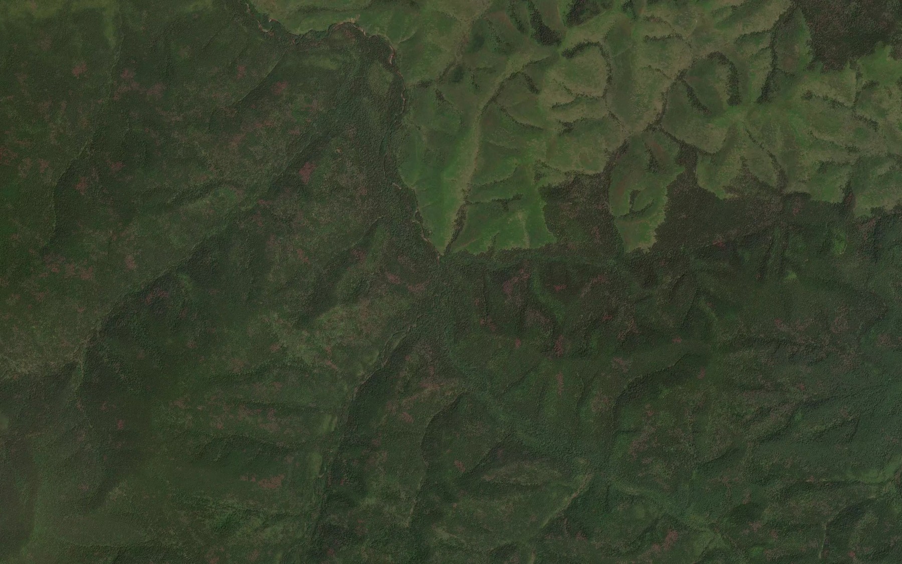 Satellite map of the Kholodnyy