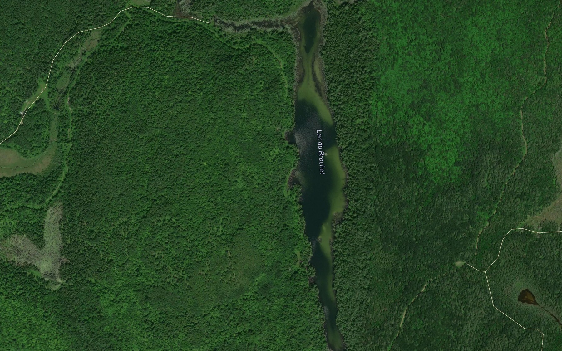 Satellite map of the Lac du Brochet