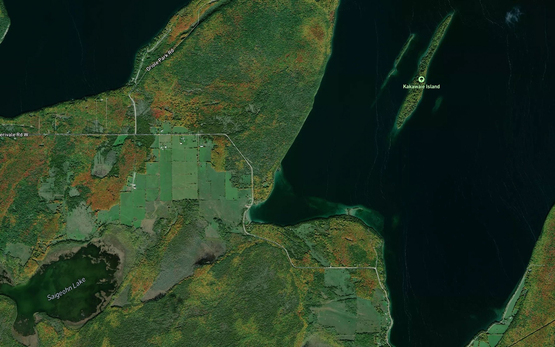 Satellite map of the Maggy's Bay
