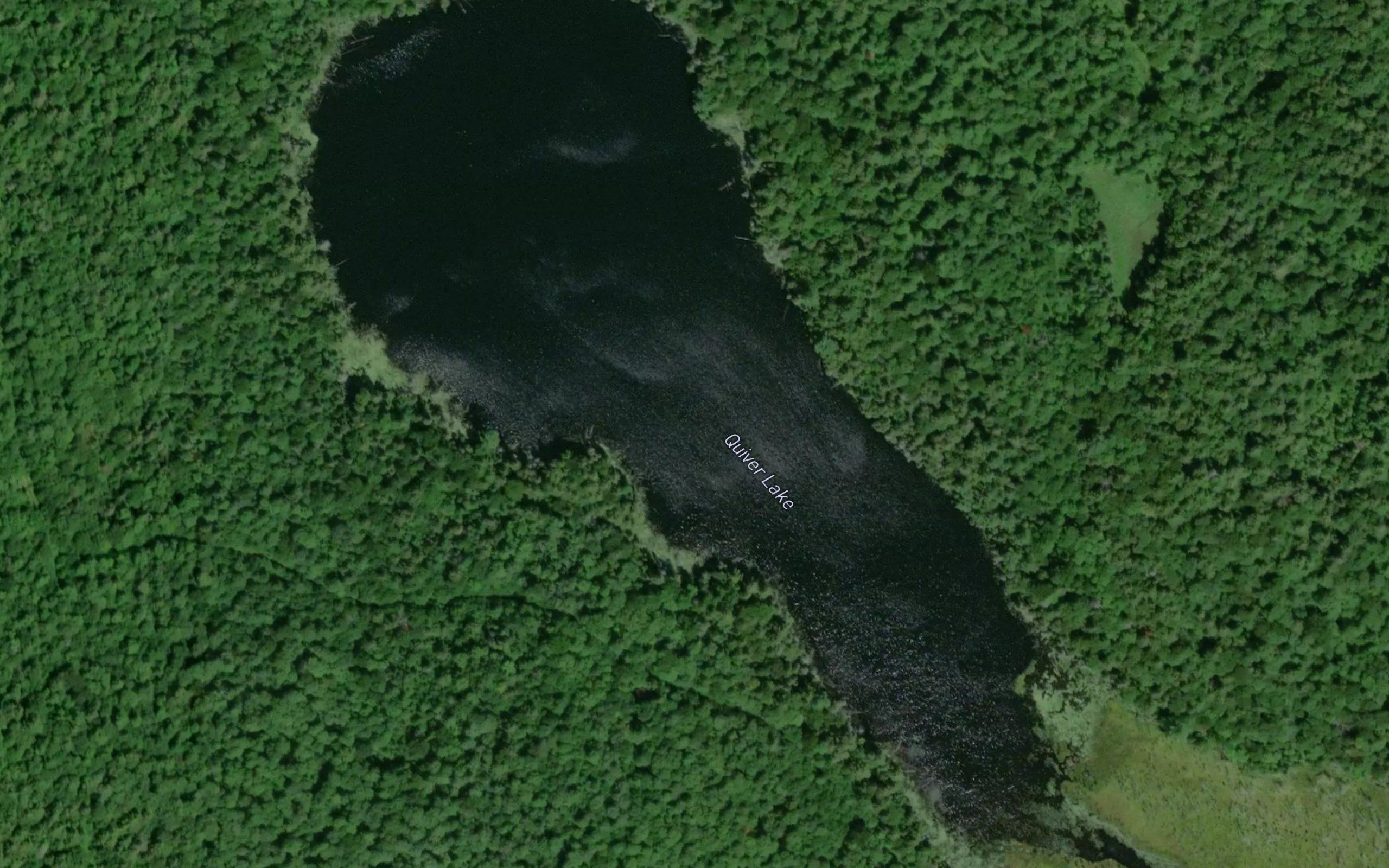Quiver Lake
