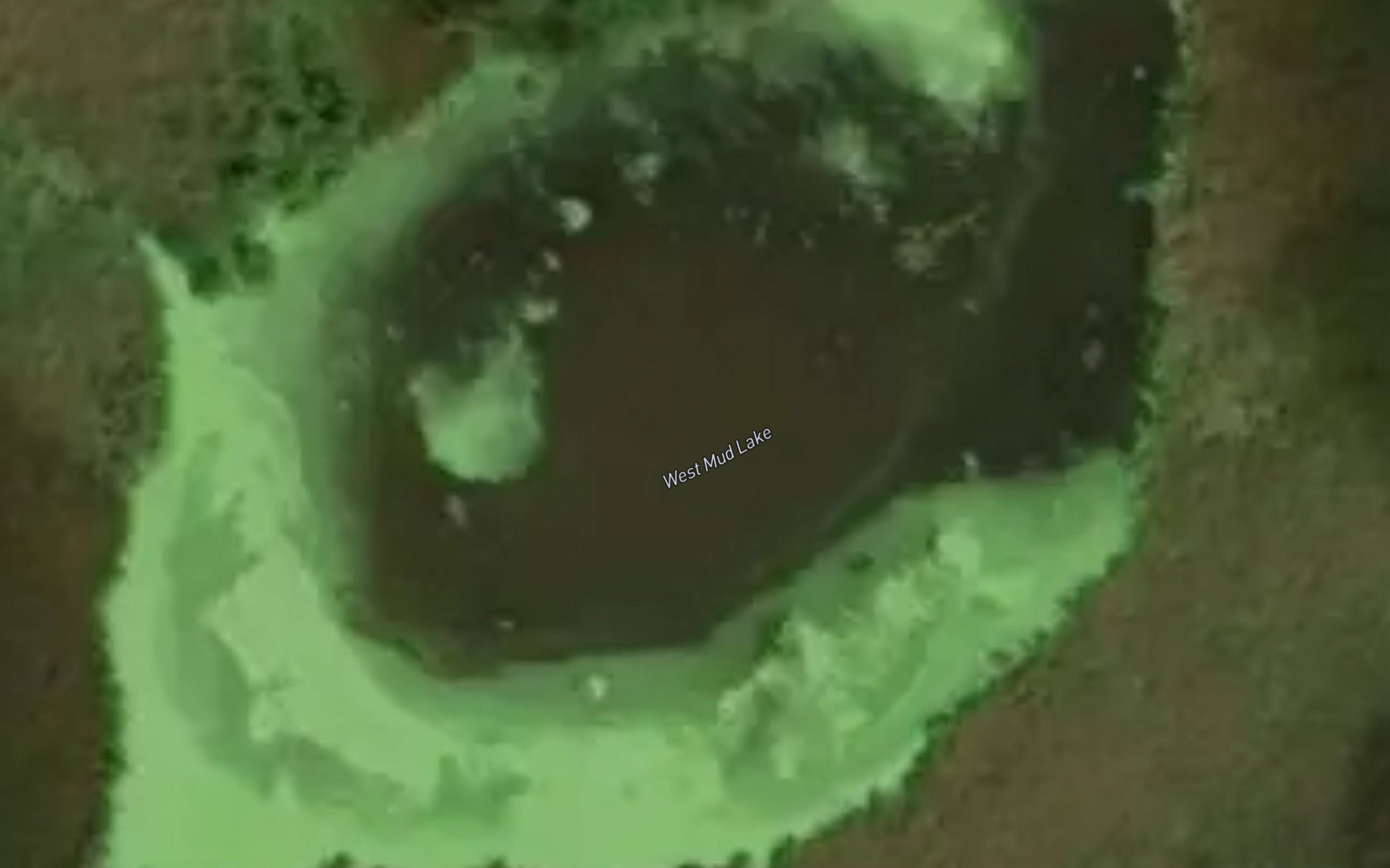 Satellite map of the West Mud Lake