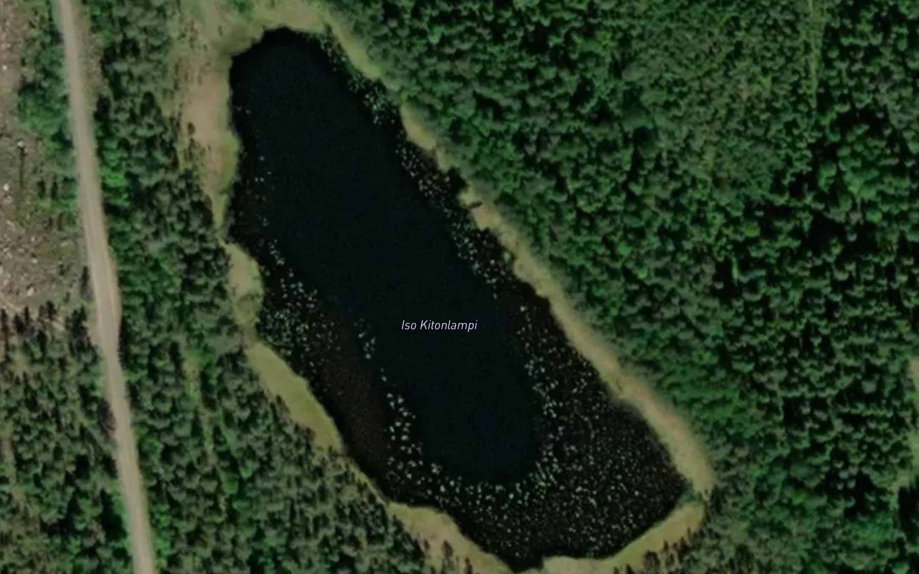 Satellite map of the Iso Kitonlampi