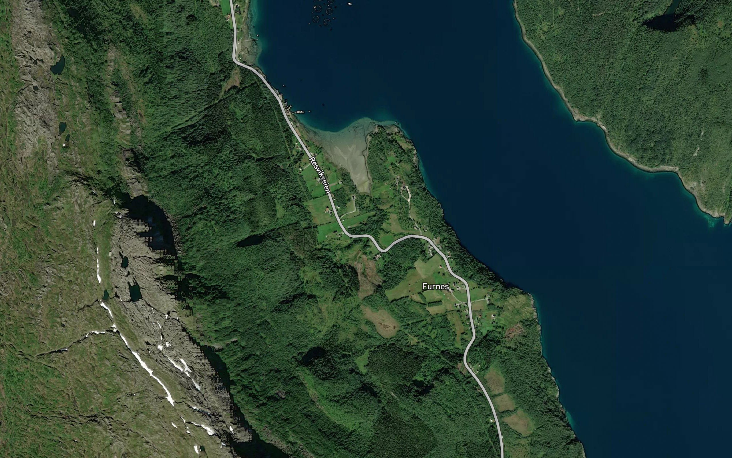 Kineselva