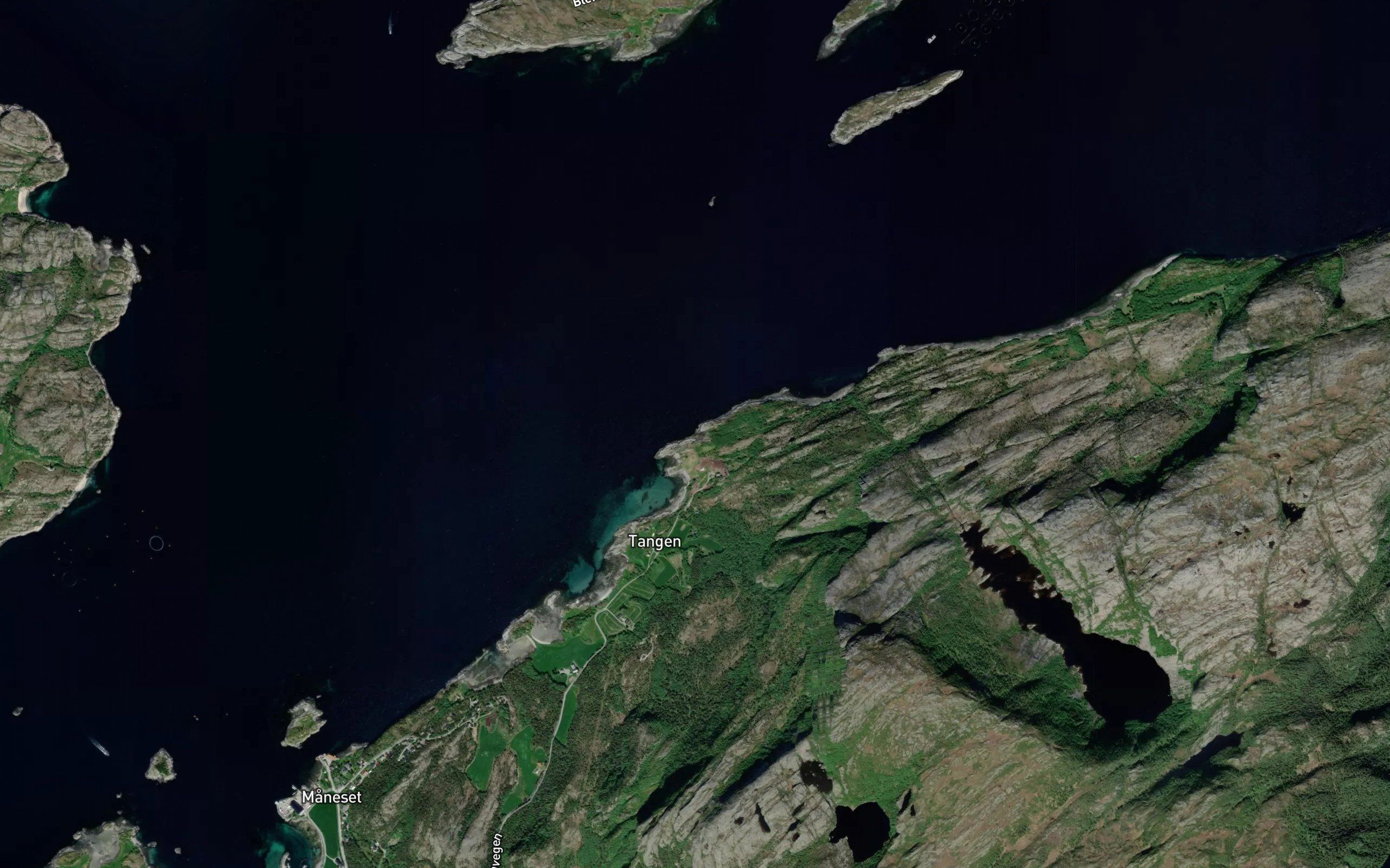 Jonsvika